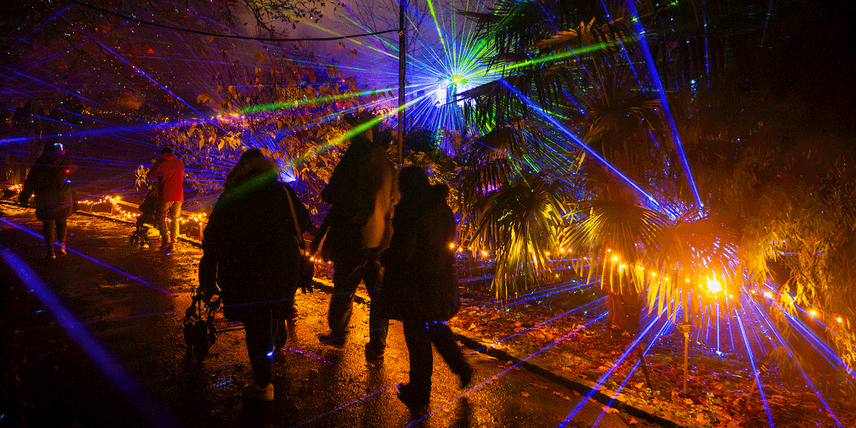 light up sir harold hillier gardens christmas 2025, sir harold hillier award winning light trail, christmas light trail romsey hampshire, illuminated arboretum christmas event uk, family friendly christmas light trails hampshire