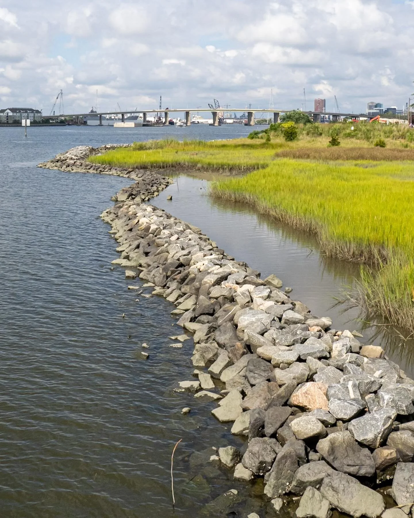 Wow! Over 4000 linear feet of shoreline restoration. First time I have seen this project! Gorgeous! 
*
*
*
@cityofnorfolkva #livingshoreline #chestefieldheights #elizabethriver @suemanganphotography @wetlandswatchva