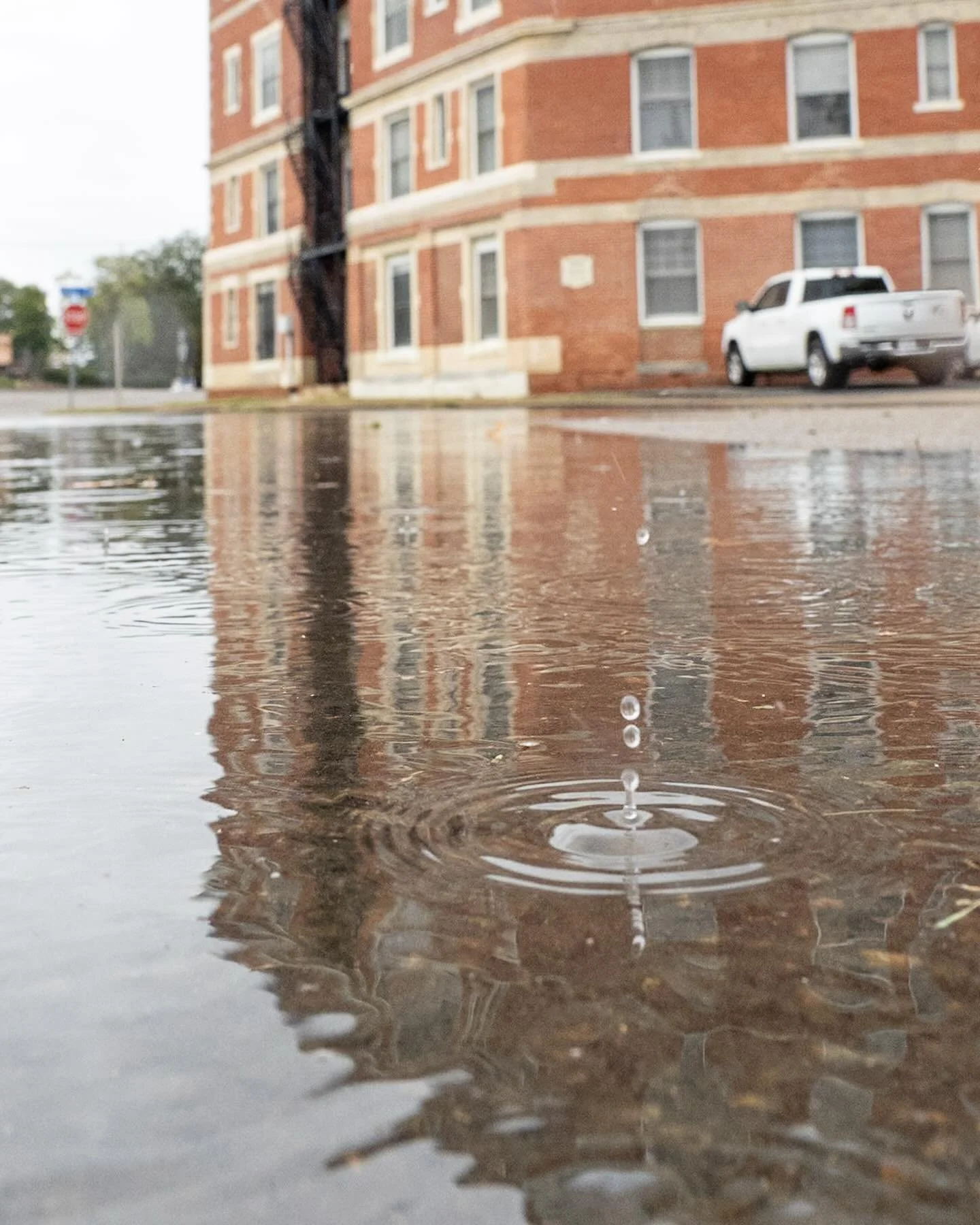 Big King tides this week! Please be safe while driving in flooded areas. If you want to help map the high tides, go to @wetlandswatchva and help Catch the King! 
*
*
*
#catchtheking2025 #norfolkva @gretapratt #streetflooding #kingtide @suemanganphoto