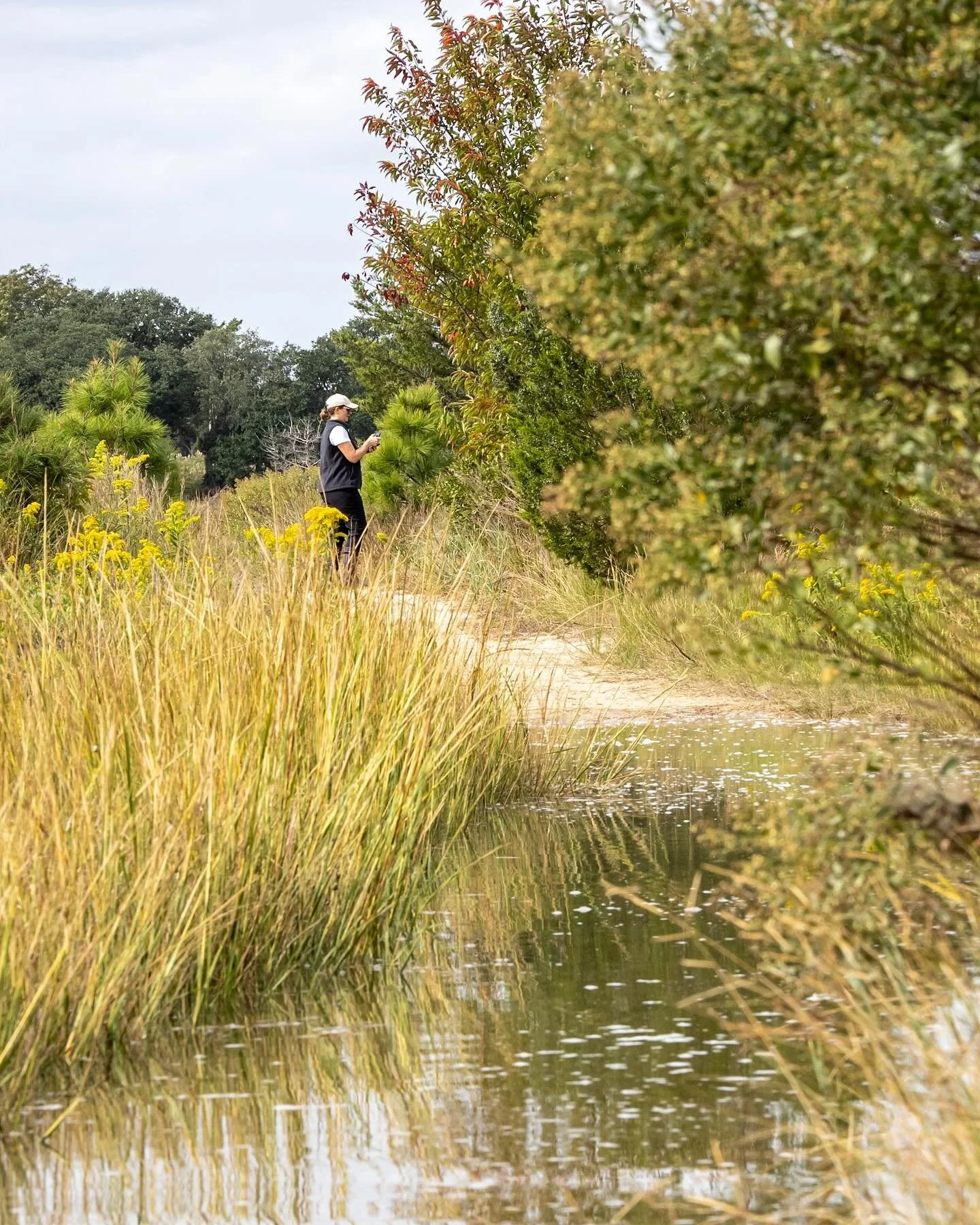 Master mapper in action! Catch the King! You too can map the King tide this weekend! Go to @wetlandswatchva 
*
*
* 
 #catchtheking2025 #sealevelrise #kingtide #chesapeakebay @suemanganphotography