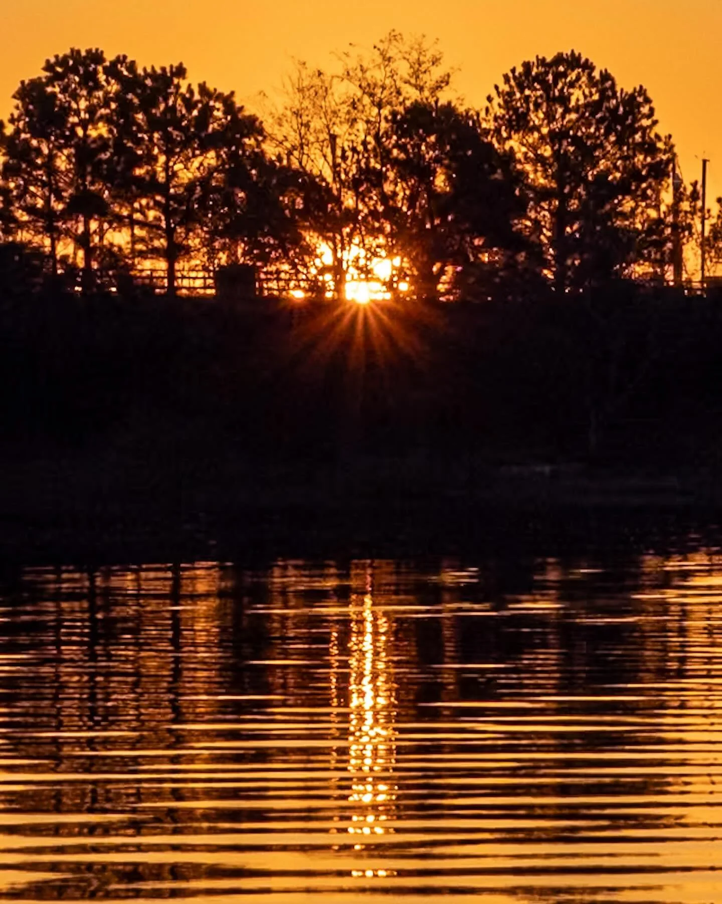 When the sky is the same color as the leaves!
*
*
*
#morningkayak #orange #sunrise #littlecreek #reflection #norfolkva @suemanganphotography