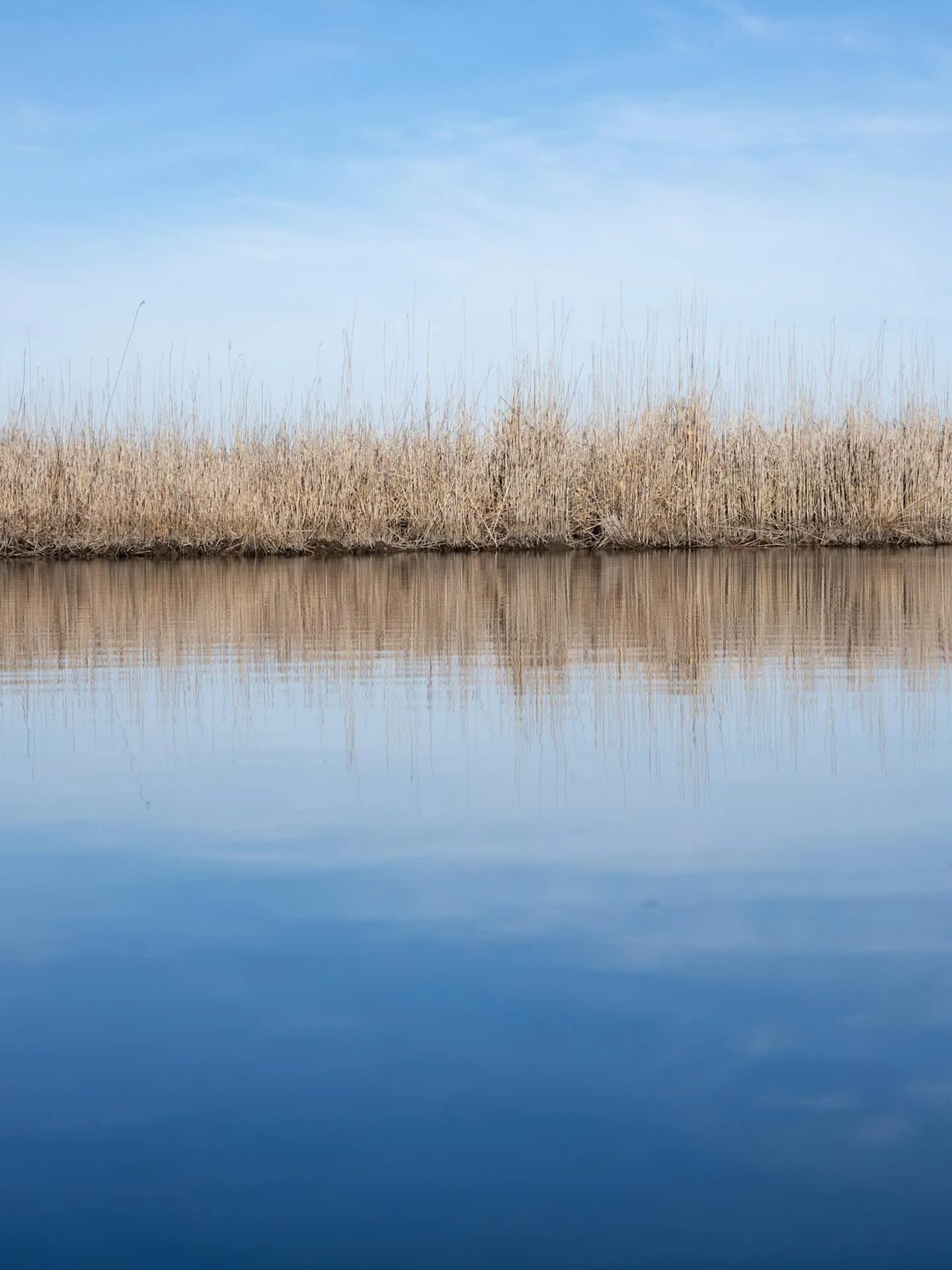 Still looking&hellip;
*
*
*
#mackayislandnationalwildliferefuge @suemanganphotography
