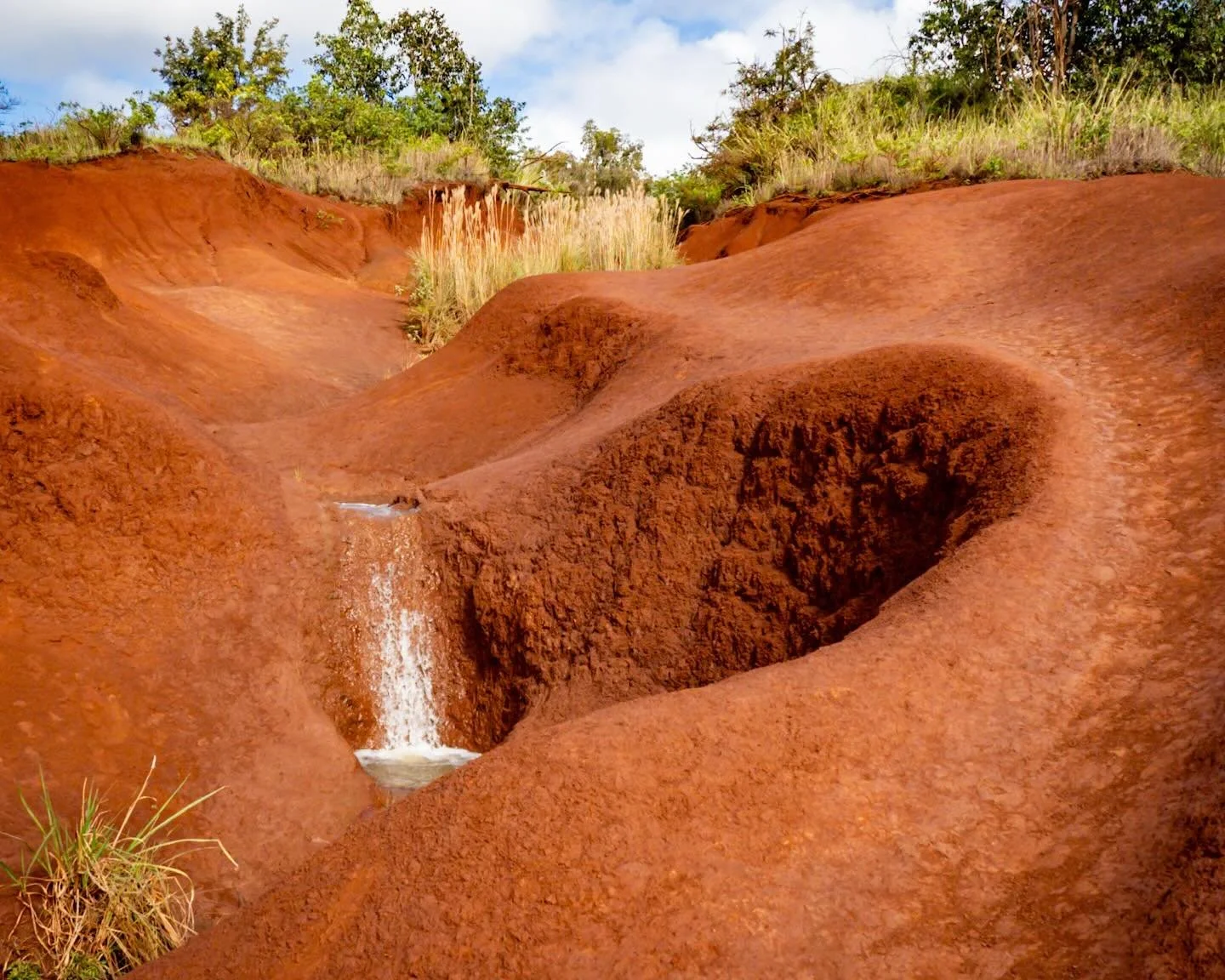 Red Dirt Waterfall, Kauai
*
*
*
#reddirtwaterfall #kauai #waterfall #hawaii #waimeacanyon @suemanganphotography