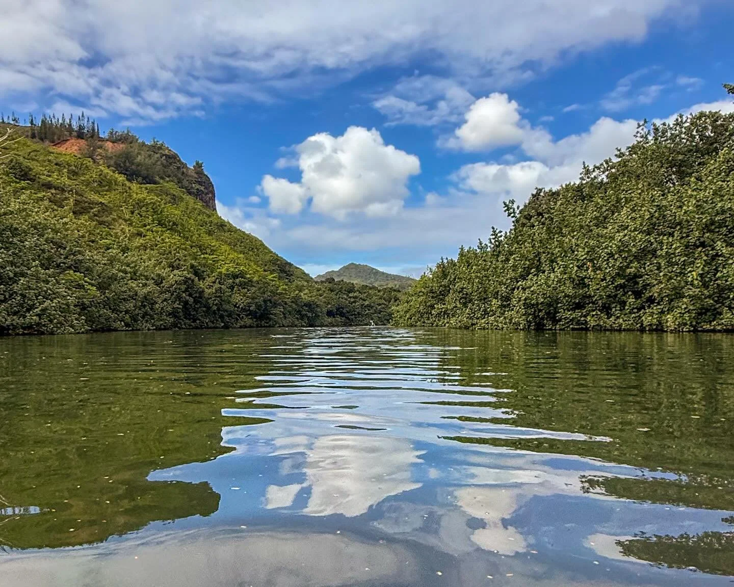 Gorgeous paddle to Secret Falls on Kauai! Highly recommend Scotty&rsquo;s @scottyssurfco !!!
*
*
*
#kayaking #kauai @suemanganphotography