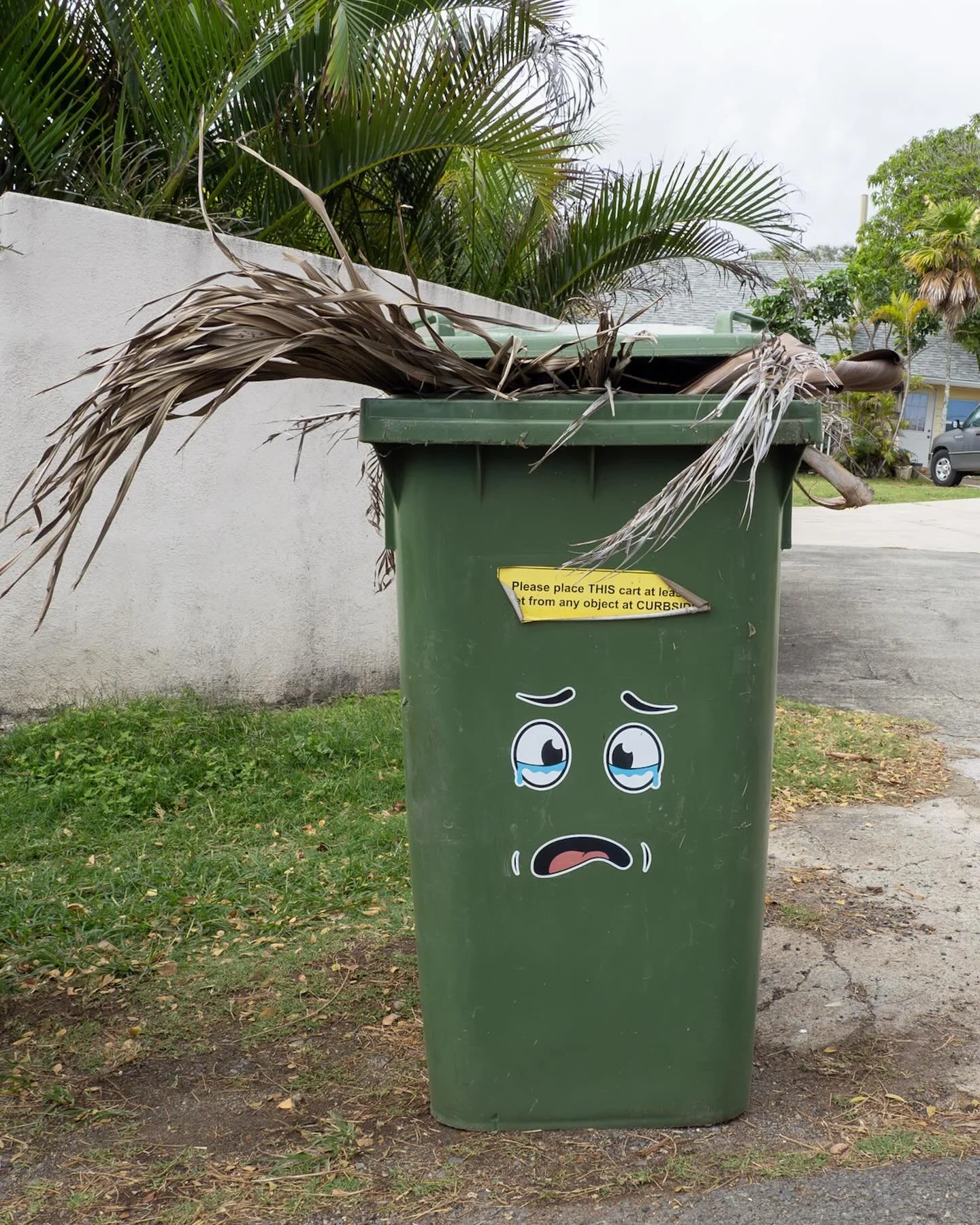Palm tree fronds in an adorably decorated compost bin.
*
*
*
#kailua #compostbin @suemanganphotography