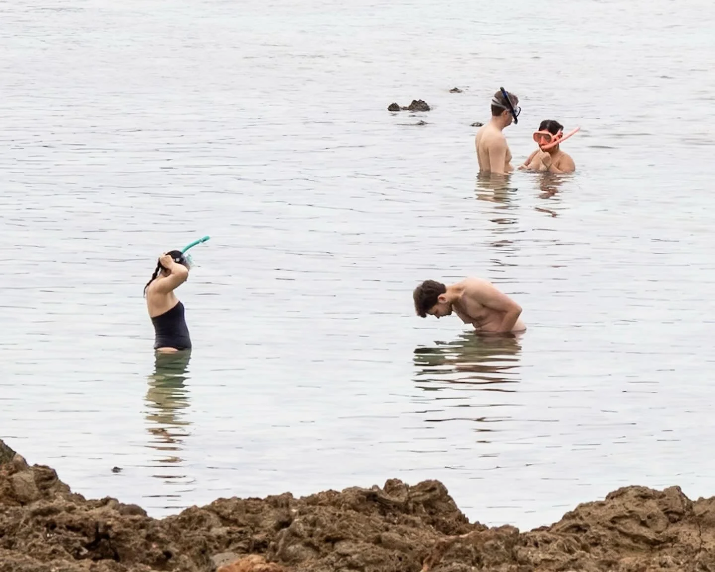 It feels like 2 degrees outside in Coastal VA, and a Bomb Cyclone looms. Last week it was 75 and perfect for snorkeling. Need to go back&hellip;
*
*
*
#oahu #snorkeling @suemanganphotography