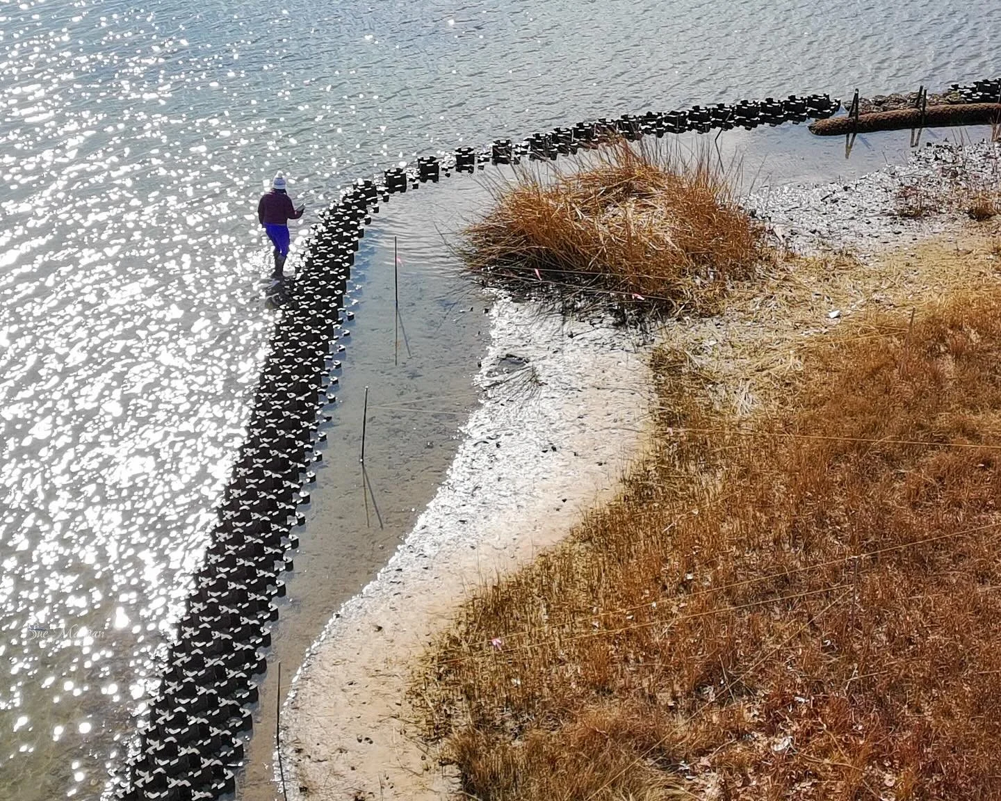 Seeing things from a new perspective! The living shoreline looks beautiful from above!
*
*
*
@cbf_virginia #hamptonva #dronepilot @suemanganphotography