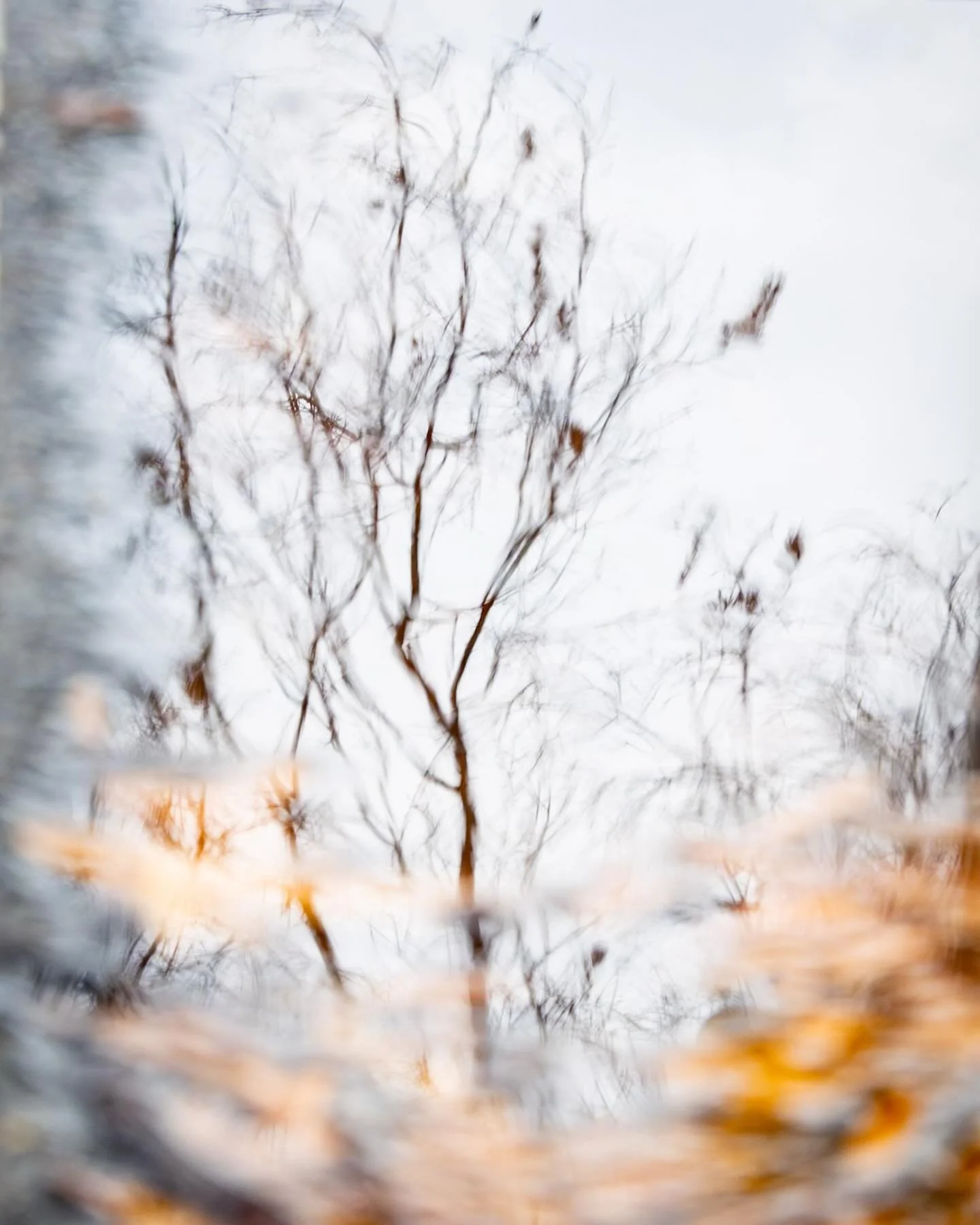 Puddles on a rainy day.
*
*
*
#reflection #norfolkva @suemanganphotography