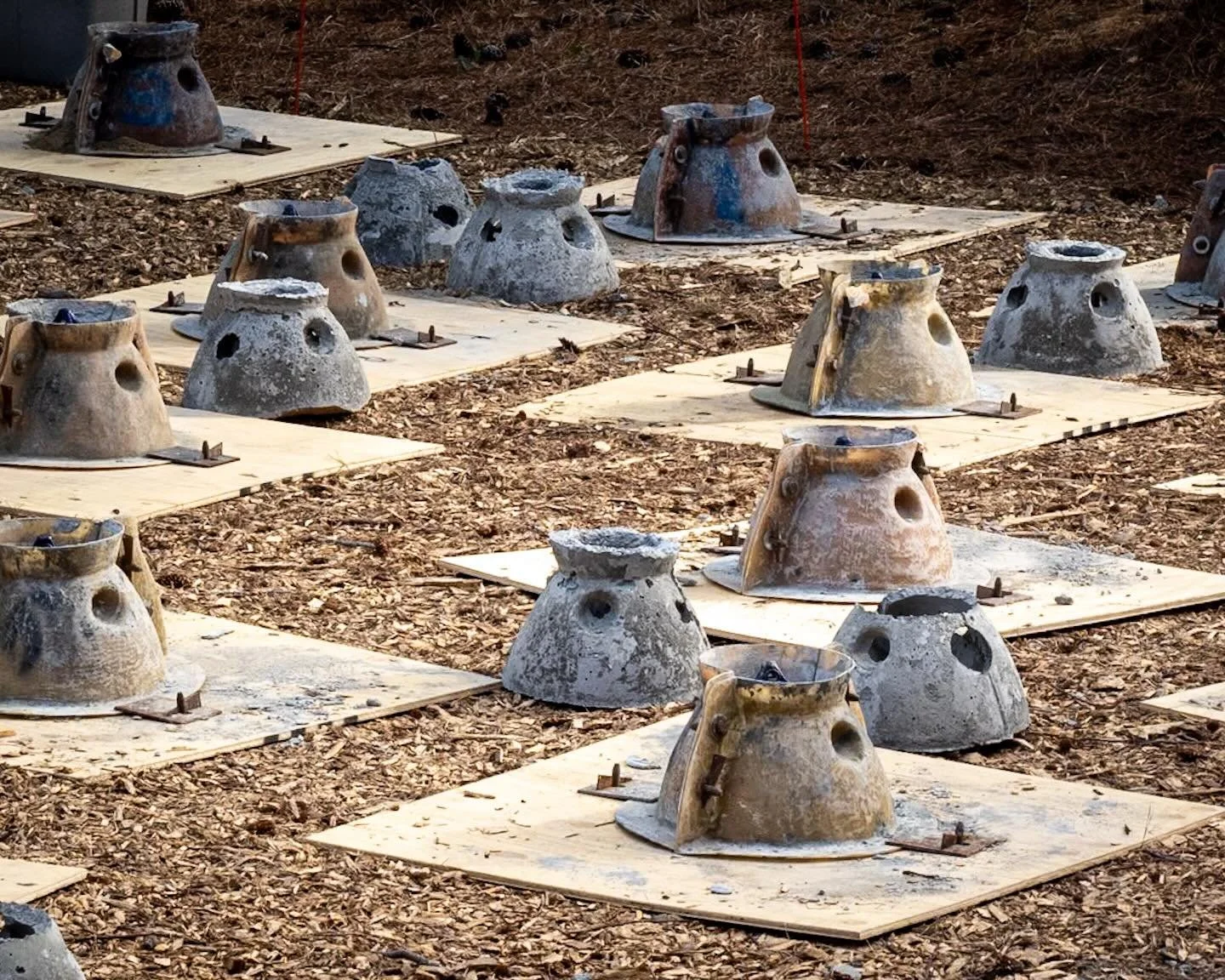 Cute little reef balls! 
*
*
*
@cbf_virginia @chesapeakebayfoundation @suemanganphotography #savethebay #🦪