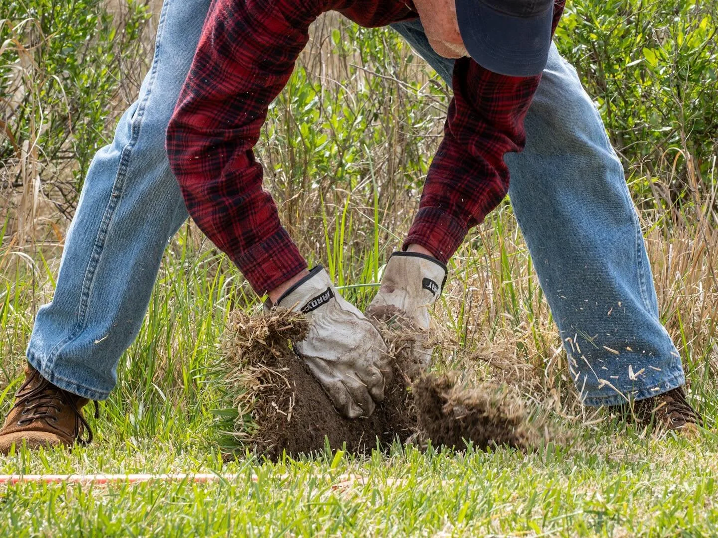 Gotta remove the old stuff to plant the new stuff! #bufferprep 
*
*
*
@cbf_virginia #wetlandsbuffer #hamptonva @suemanganphotography @chesapeakebayfoundation