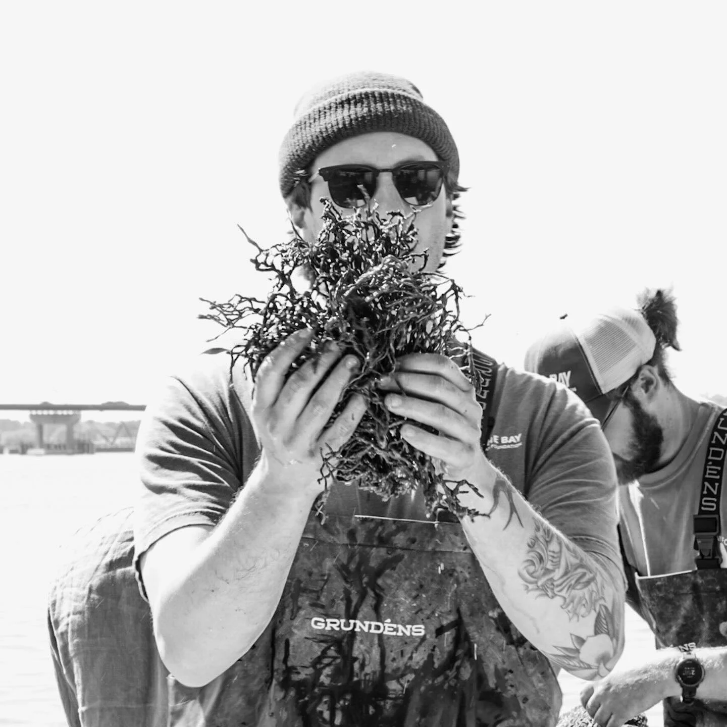 Red Beard Sponge along the West Branch of the Elizabeth River. It was a beautiful day to cruise. @cbf_virginia @suemanganphotography @cbf_learnoutside