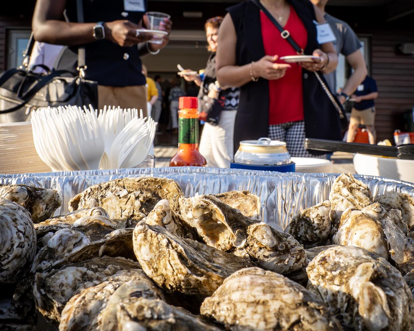 Celebrated oysters last night! Great event! 
*
*
*
@cbf_virginia #oystersocial #🦪@suemanganphotography #savethebay