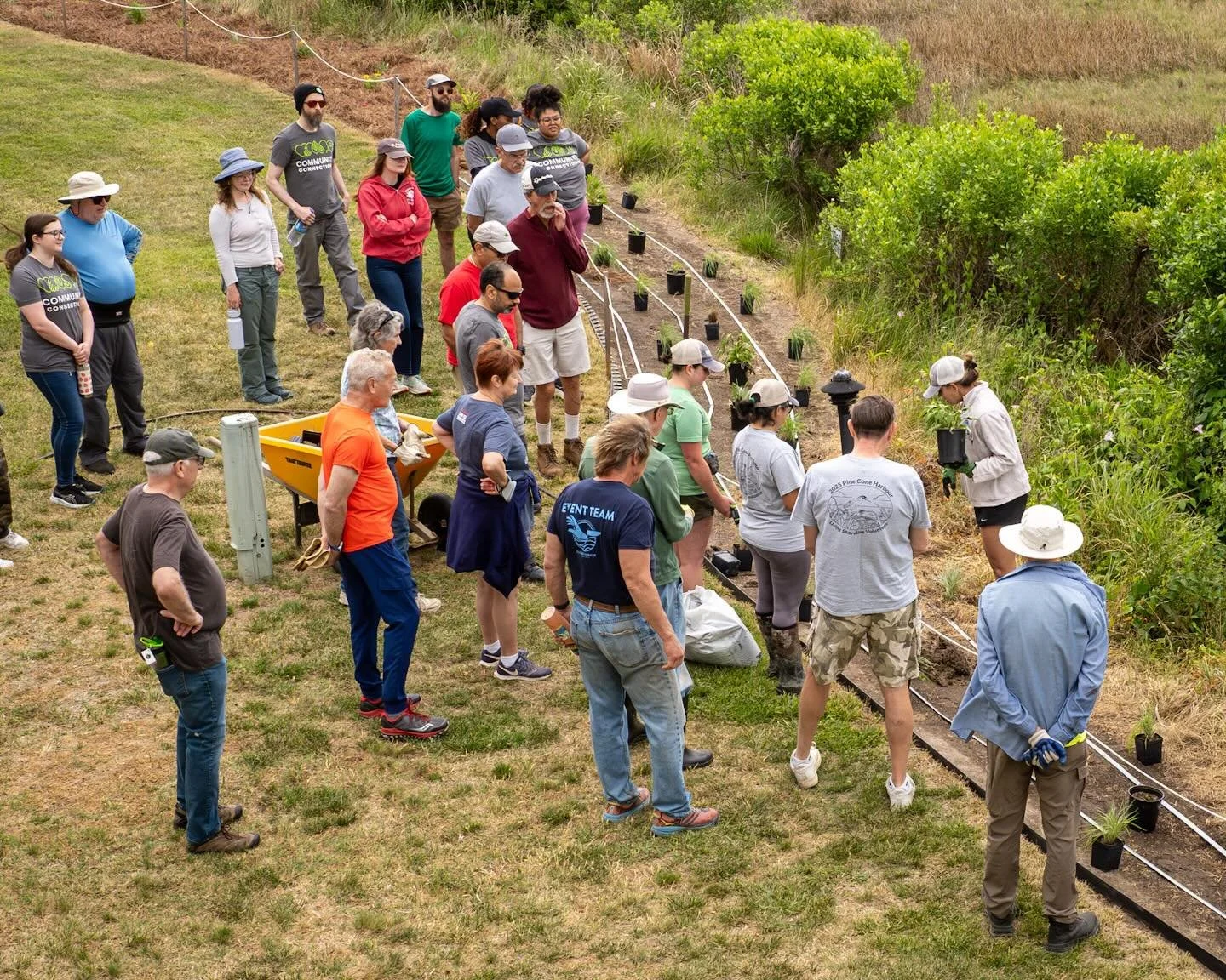 Thanks to today&rsquo;s volunteers! PCH buffer installed ✔️! 
*
*
*
@cbf_virginia #pineconeharborlivingshoreline #hamptonva @suemanganphotography #savethebay