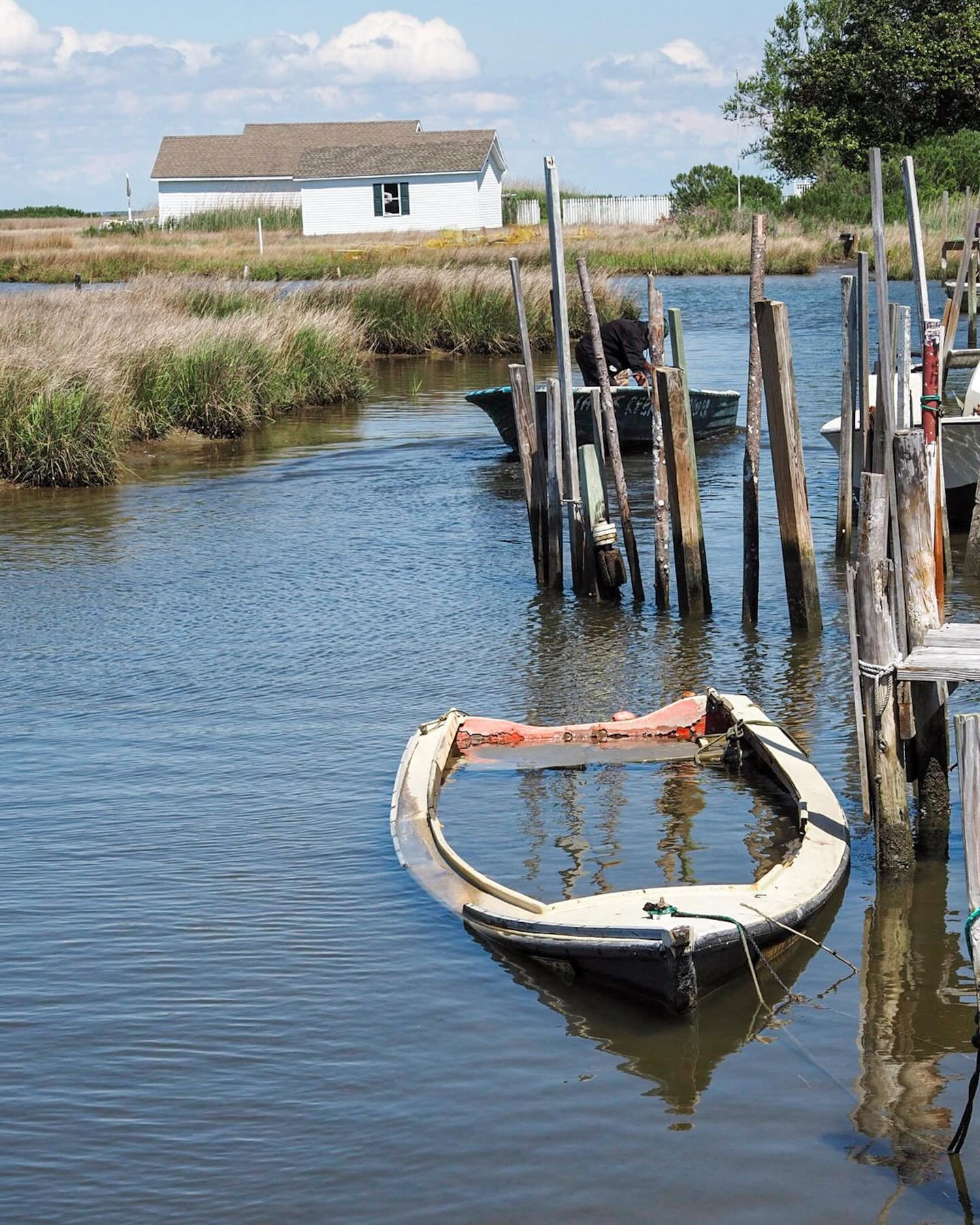 My photo from Tangier Island has been selected as the cover for the 2026 - 2030 Virginia Marine Debris Reduction Plan! Thanks to @cleanvirginiawaterways for this honor!
*
*
*
@suemanganphotography