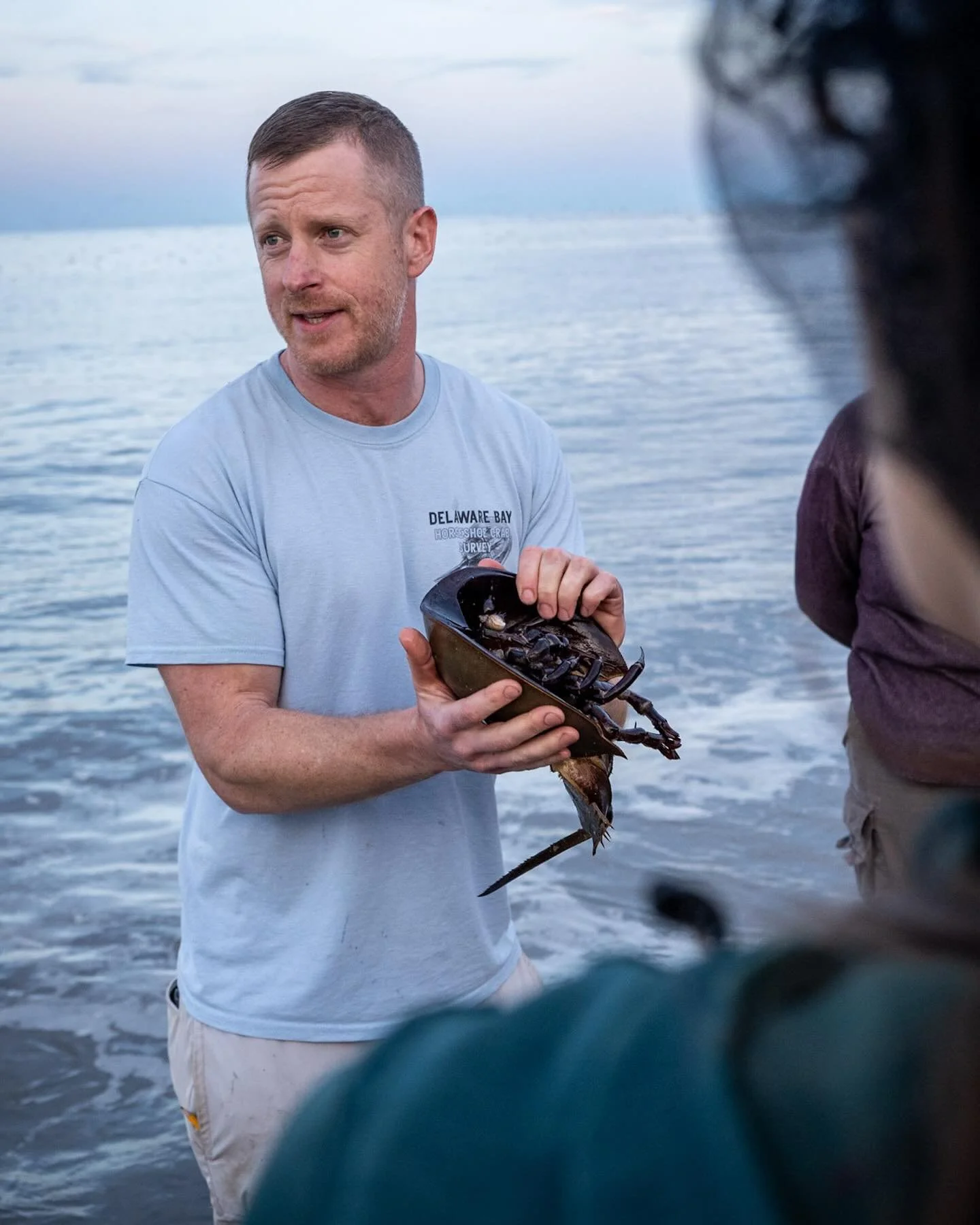 Zach from @littoralsociety offered some great information about Horseshoe Crab anatomy and spawning. 
*
*
*
@upstreamalliance #horseshoecrabspawning #slaughterbeach @suemanganphotography