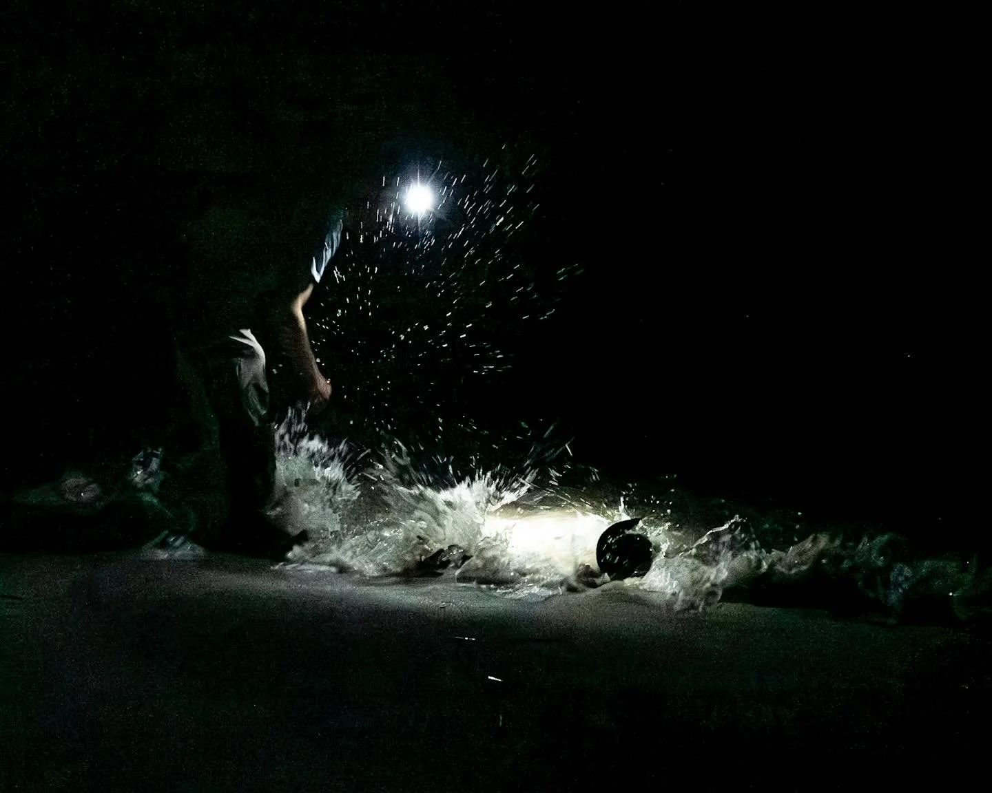 Another image from the Horseshoe tagging at Slaughter Beach two weeks ago. Such an amazing night! 
*
*
*
@upstreamalliance @littoralsociety #slaughterbeachde @suemanganphotography #tagginghorseshoecrabs
