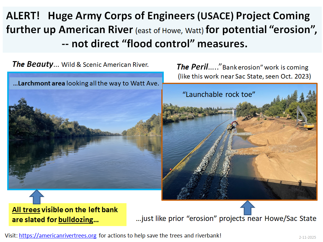 ARweb_Slide01__2_11_2025_b.png