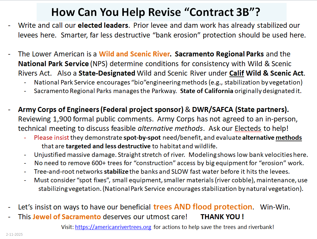 ARweb_Slide05__2_11_2025_b.png