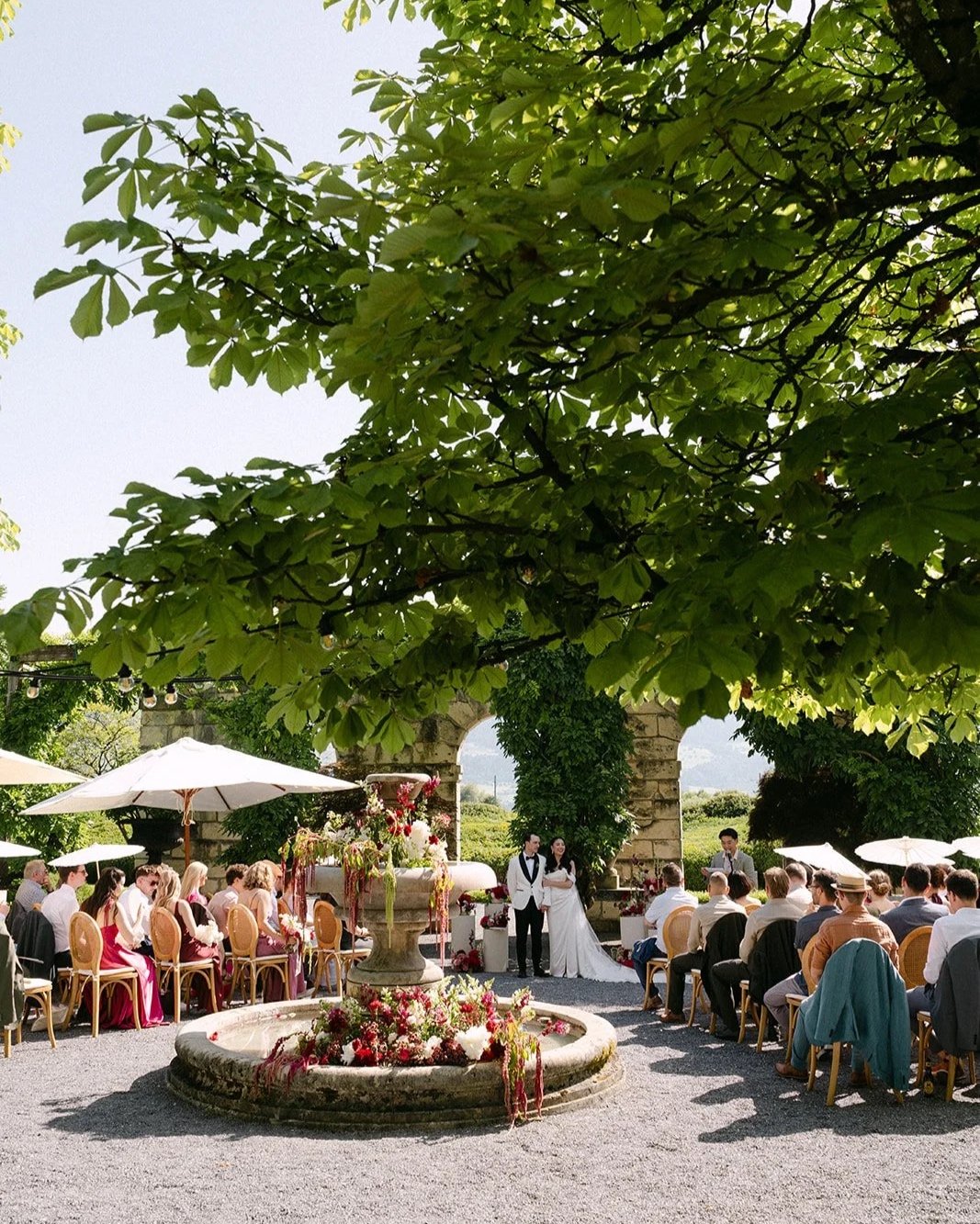 wildflowery_enea+tree+museum.jpg