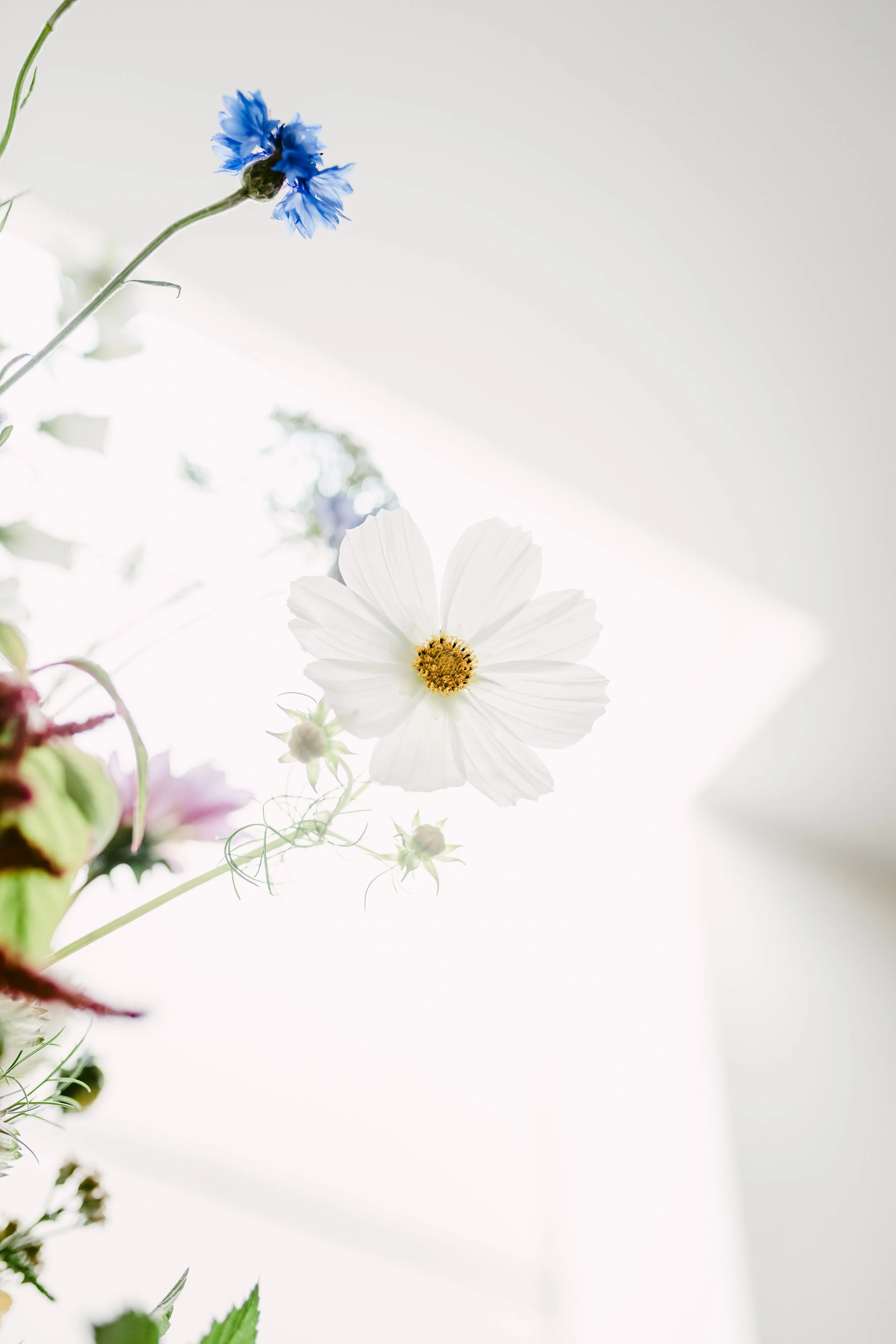 wildflowery wedding details.jpg
