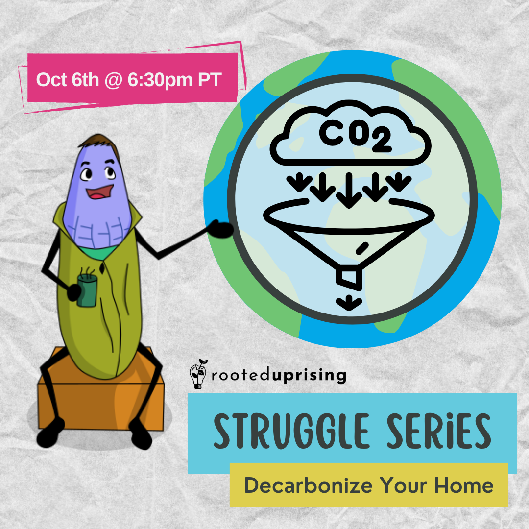STRUGGLE SERIES: Decarbonize Your Home