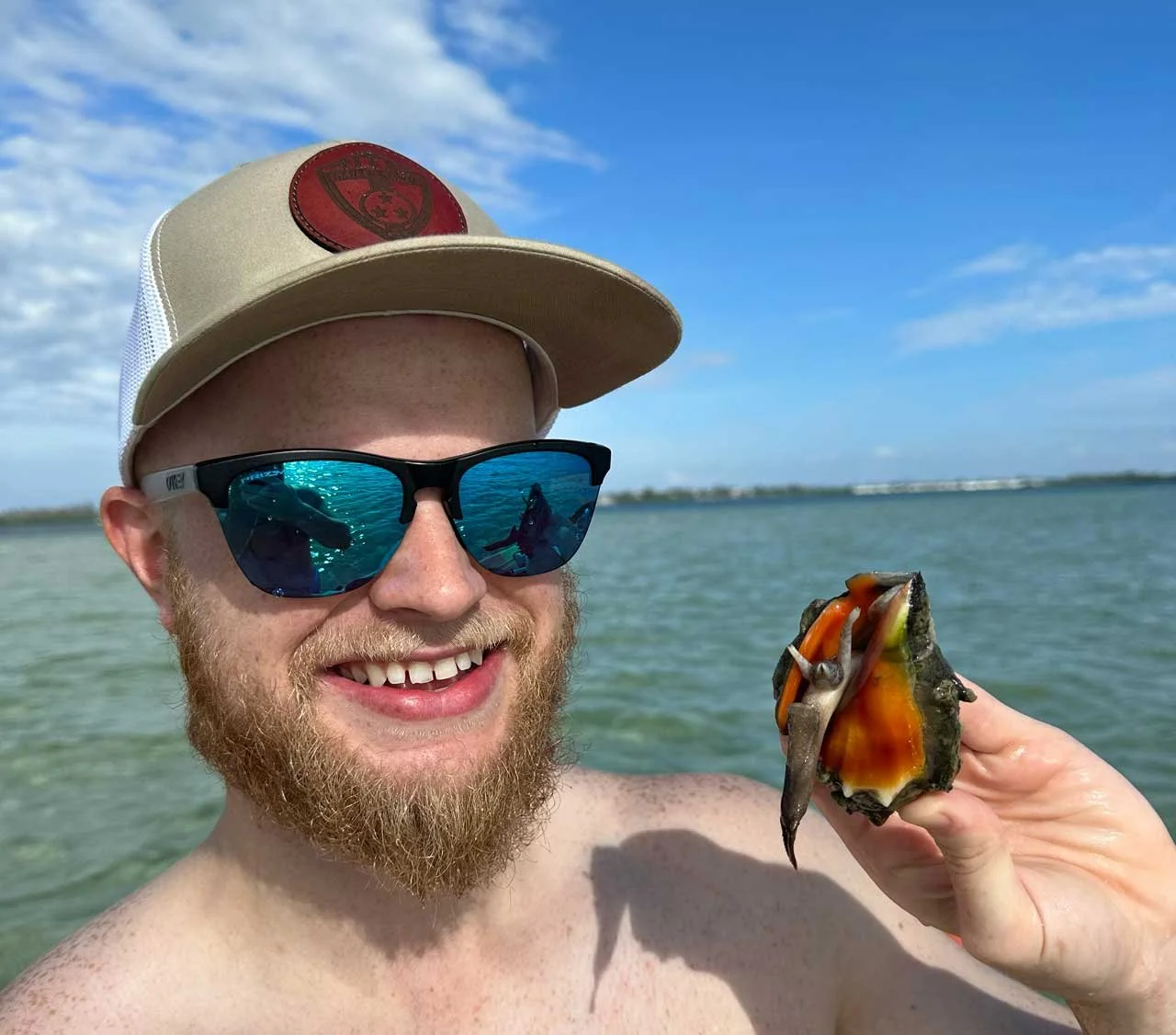 Collect shells on the island adventure
