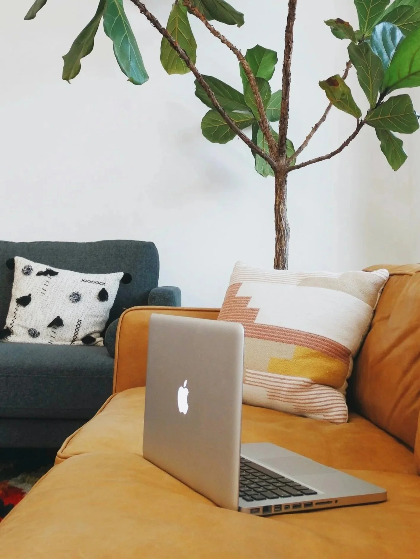A cozy living room with a yellow sofa holding a decorative pillow, a closed MacBook on the sofa, a dark gray armchair with a white pillow featuring black abstract patterns, and a tall potted tree with green leaves in the background.