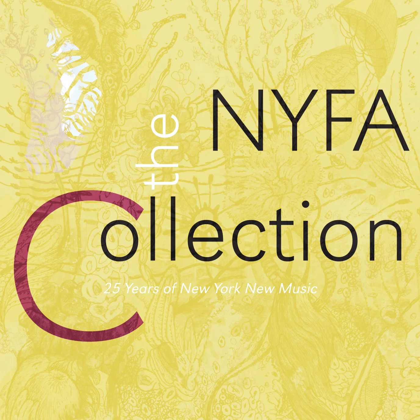 The NYFA Collection (25 Years of New York New Music)