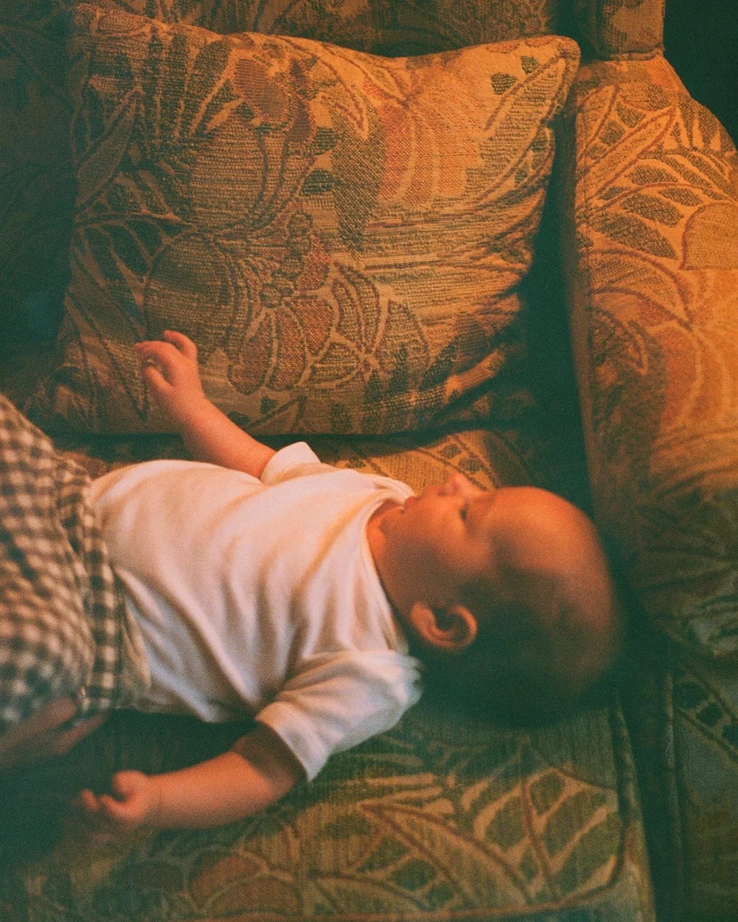 portra 400 film (2023)