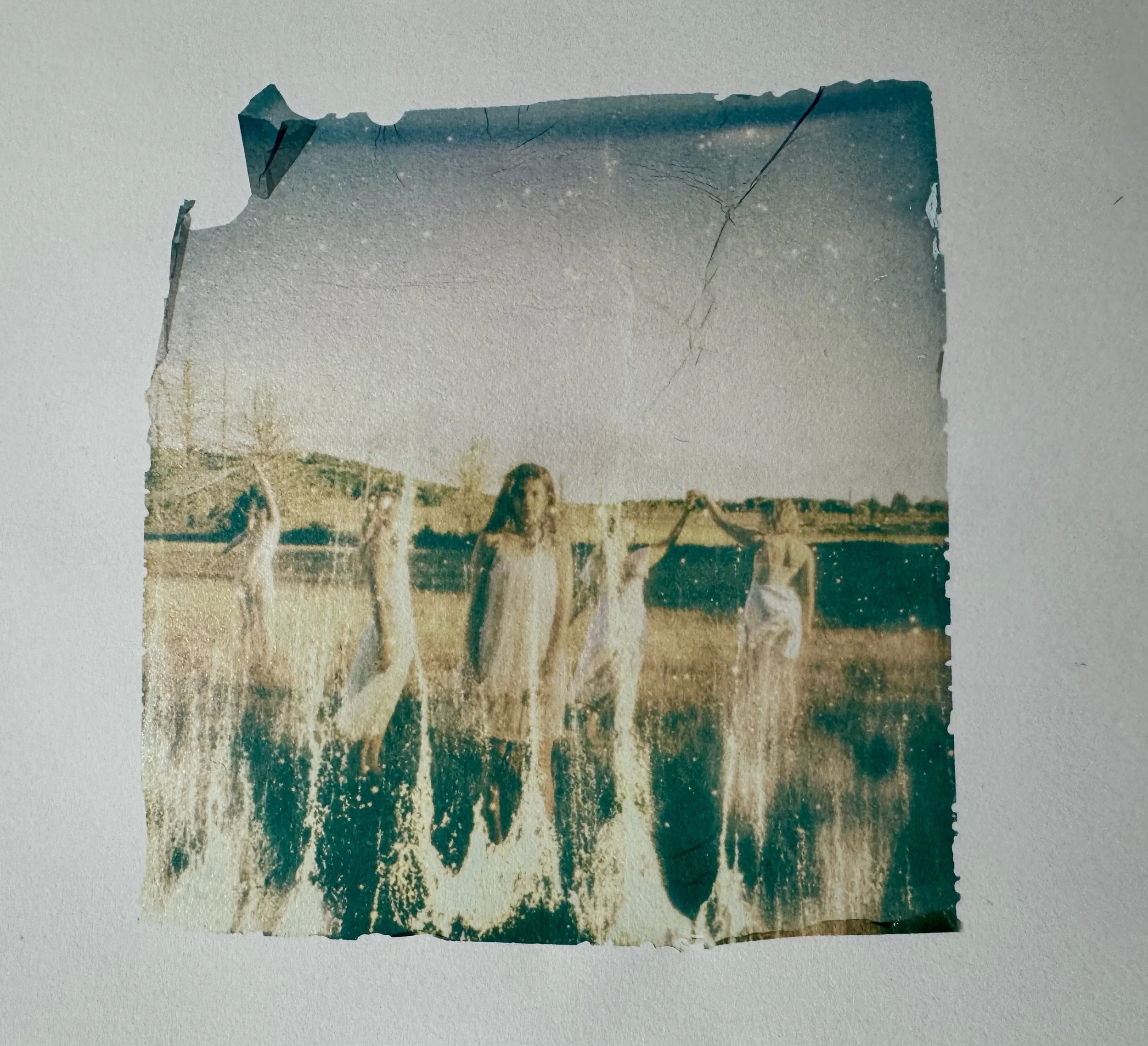 polaroid emulsion on BK Rives paper, 2025