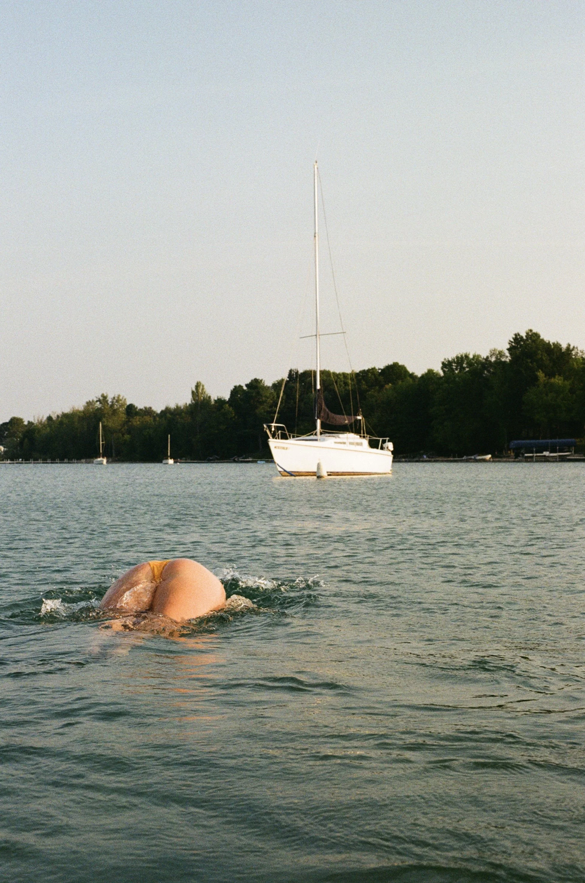 gold 400 film (2023)