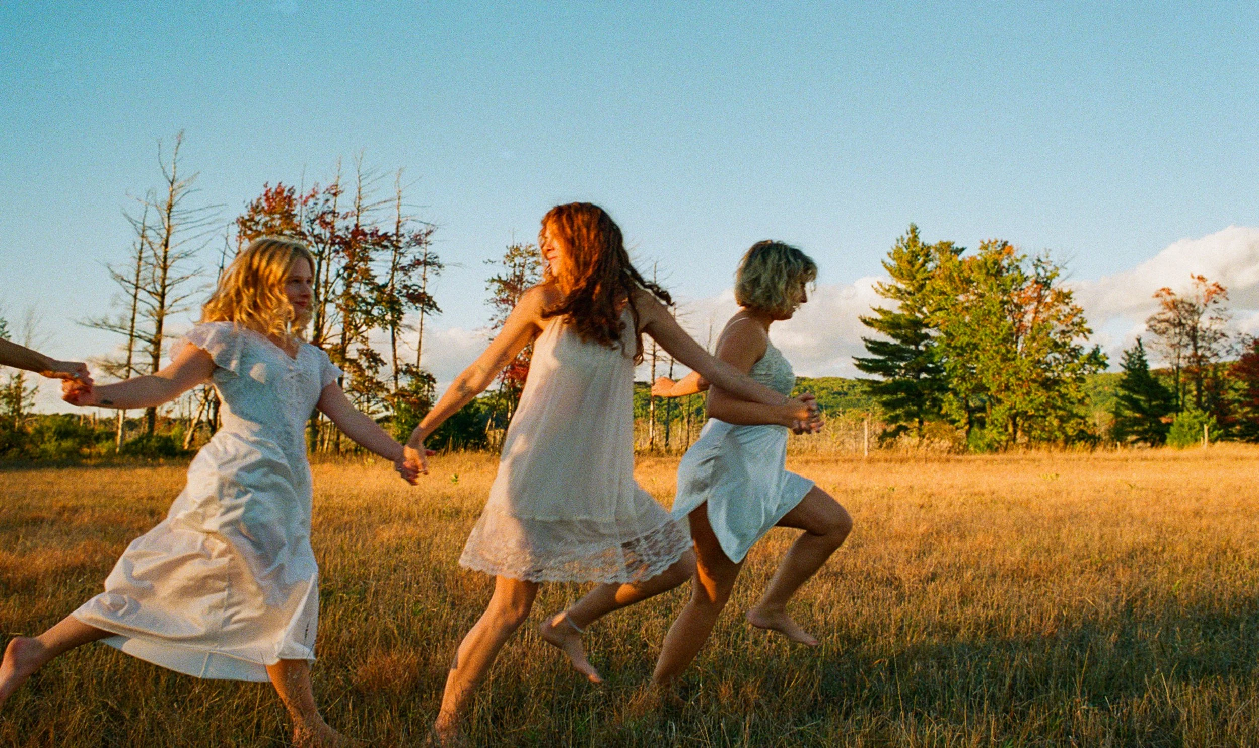 portra 800 film (2024)