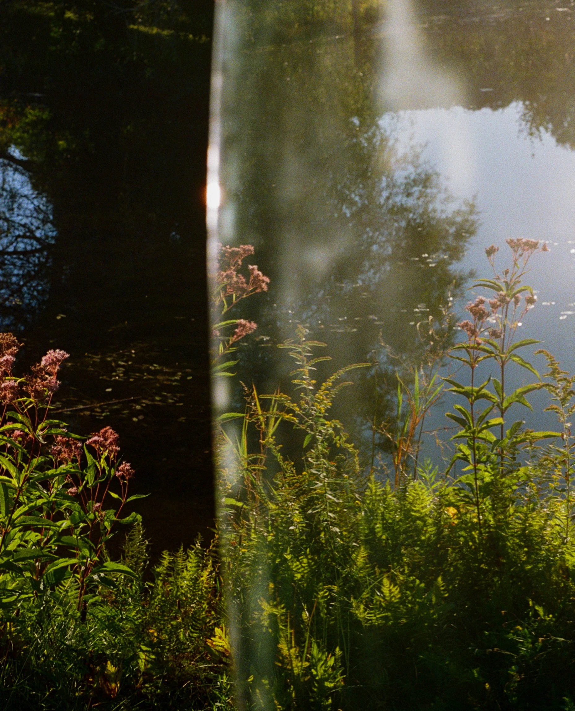 portra 400 film (2024)