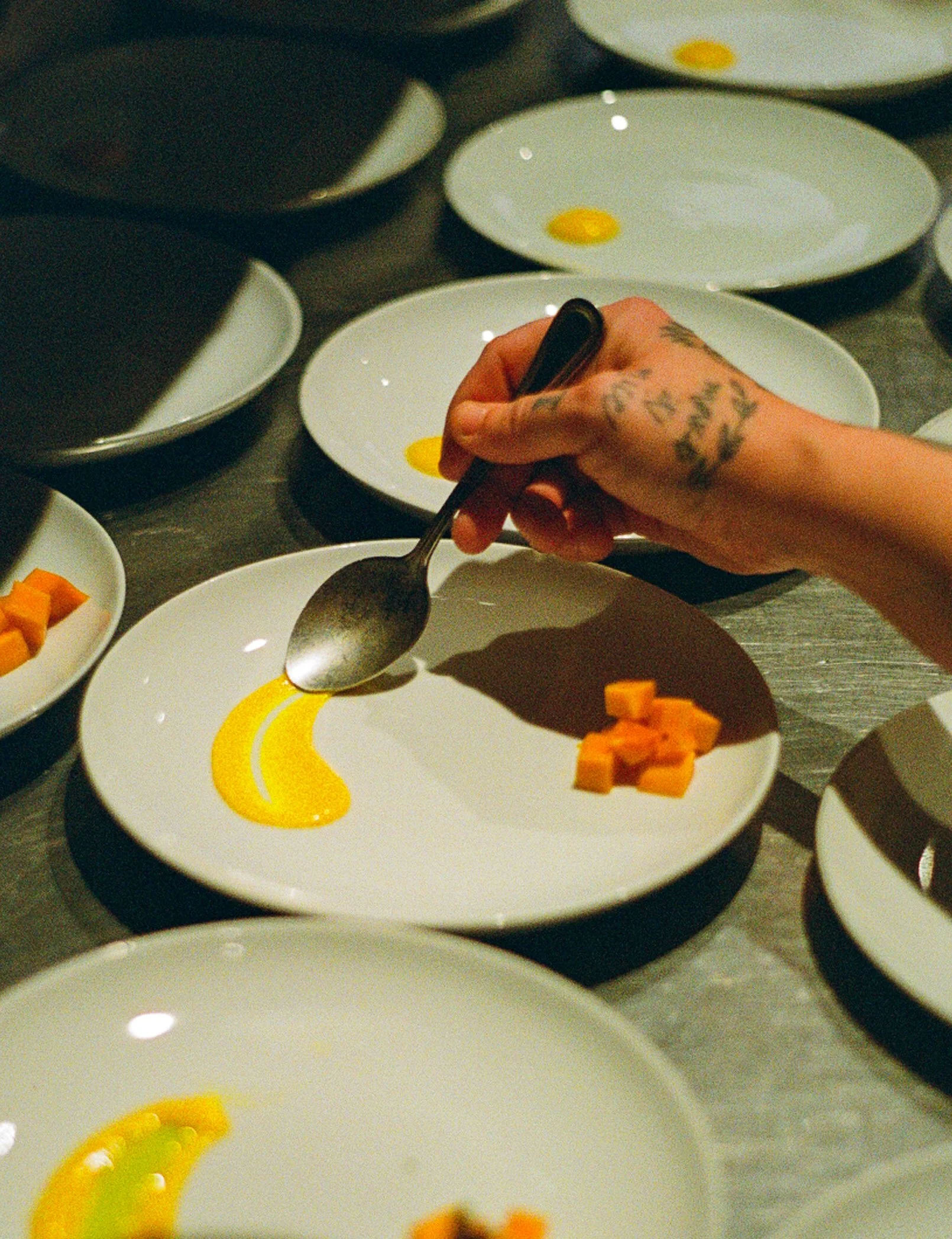 cook's house on portra 800 film (2024)