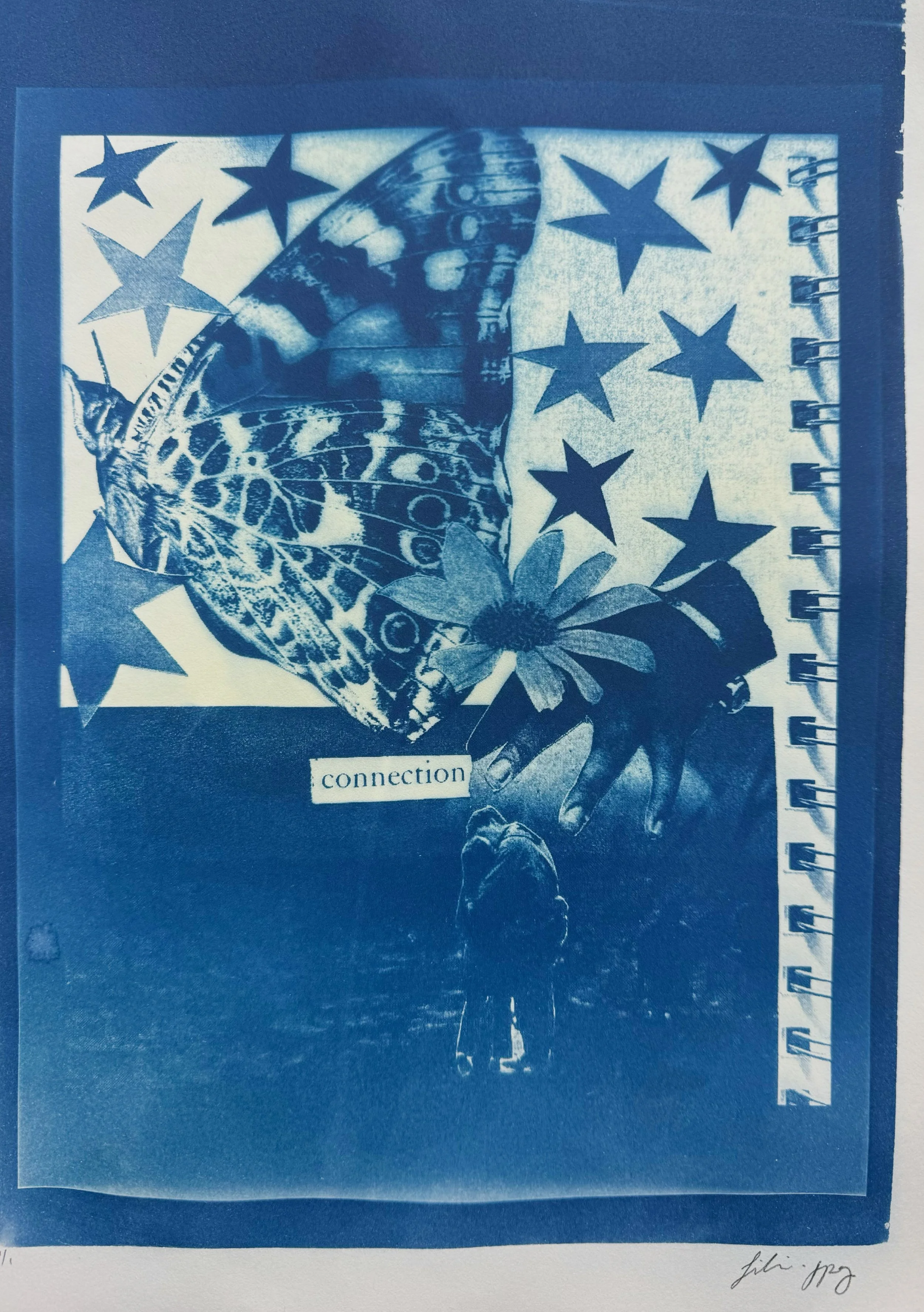 "connection" cyanotype collage print on paper, 2024