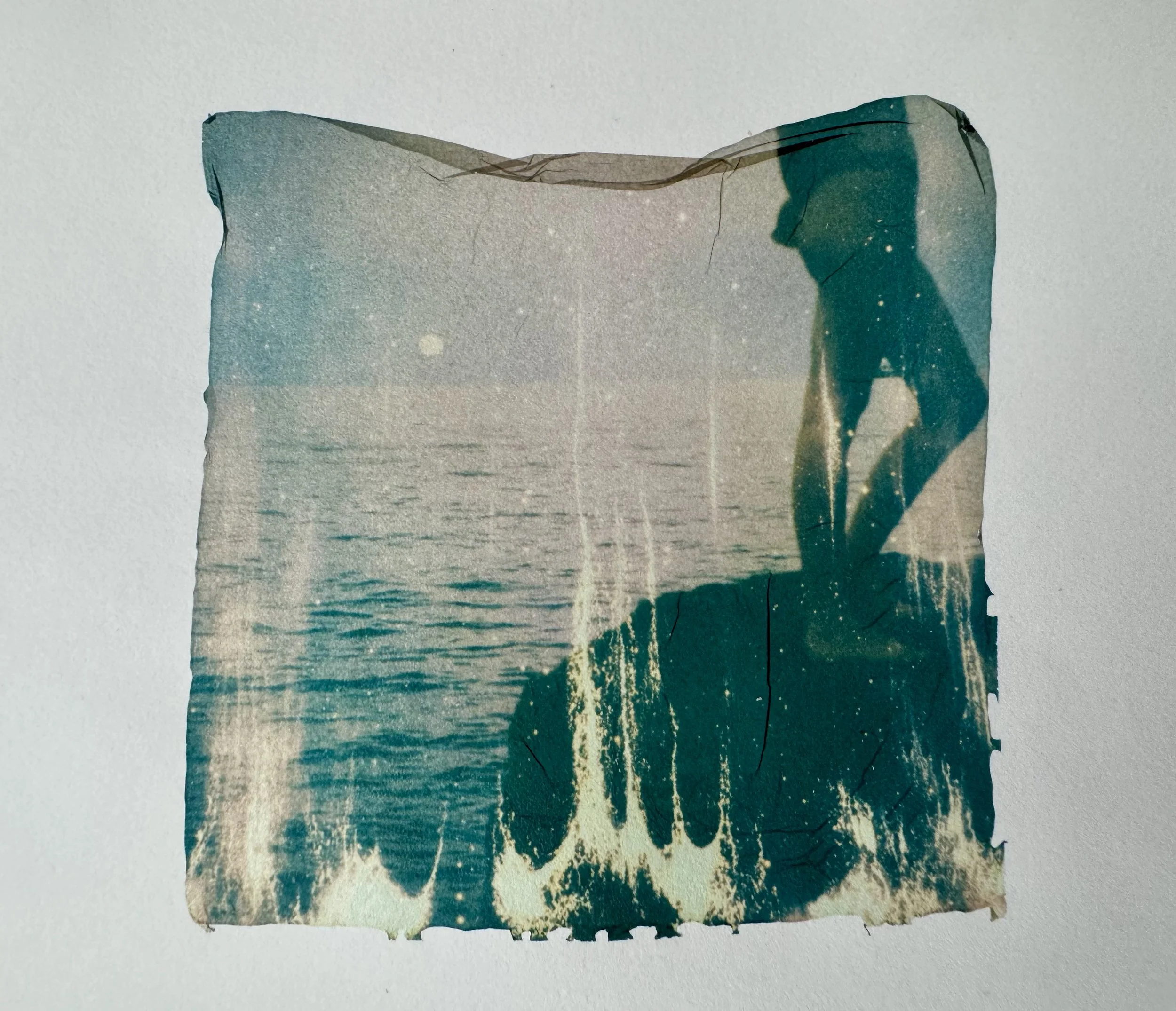 polaroid emulsion on BK Rives paper, 2025