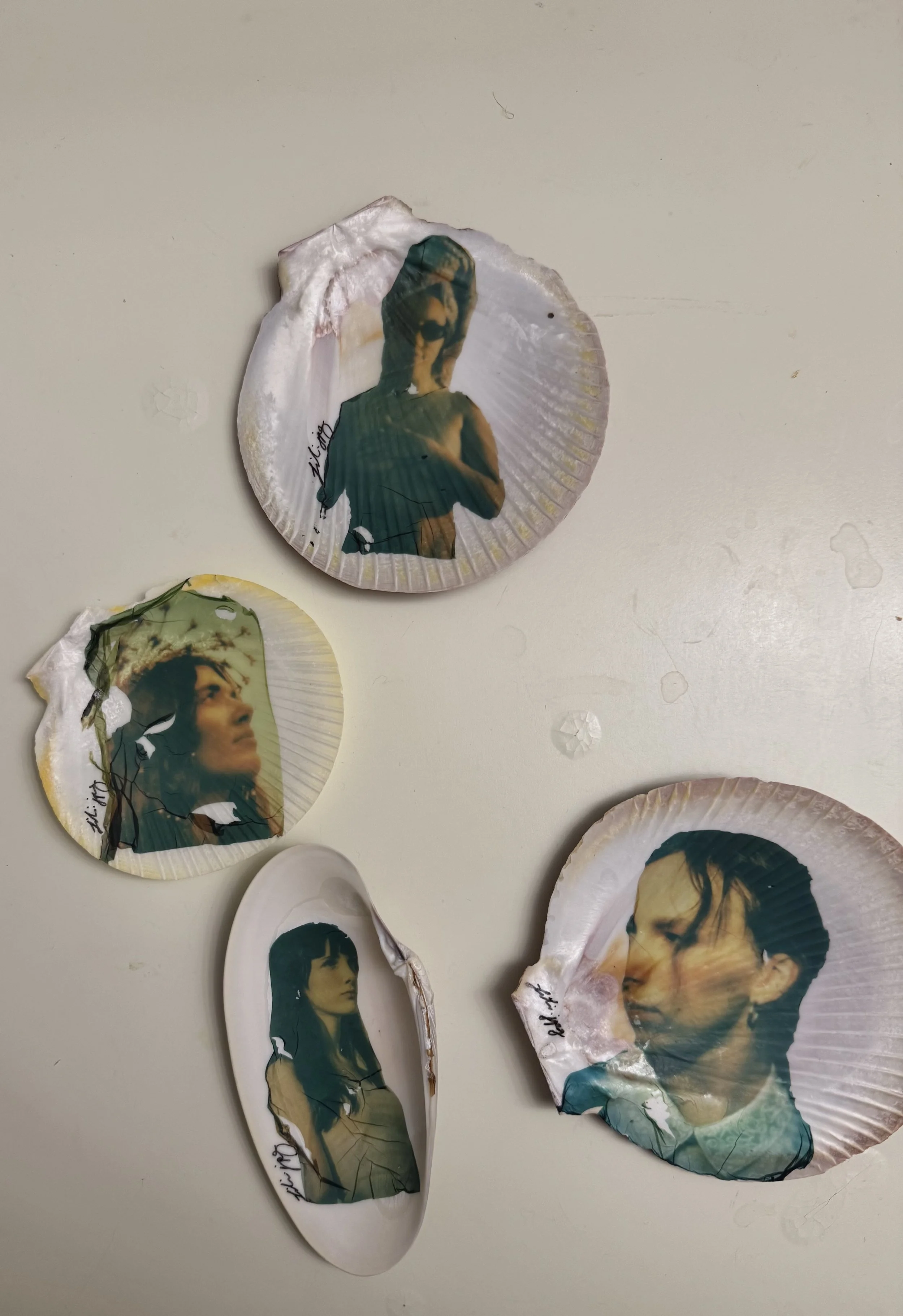 sea shell polaroid emulsions, 2025