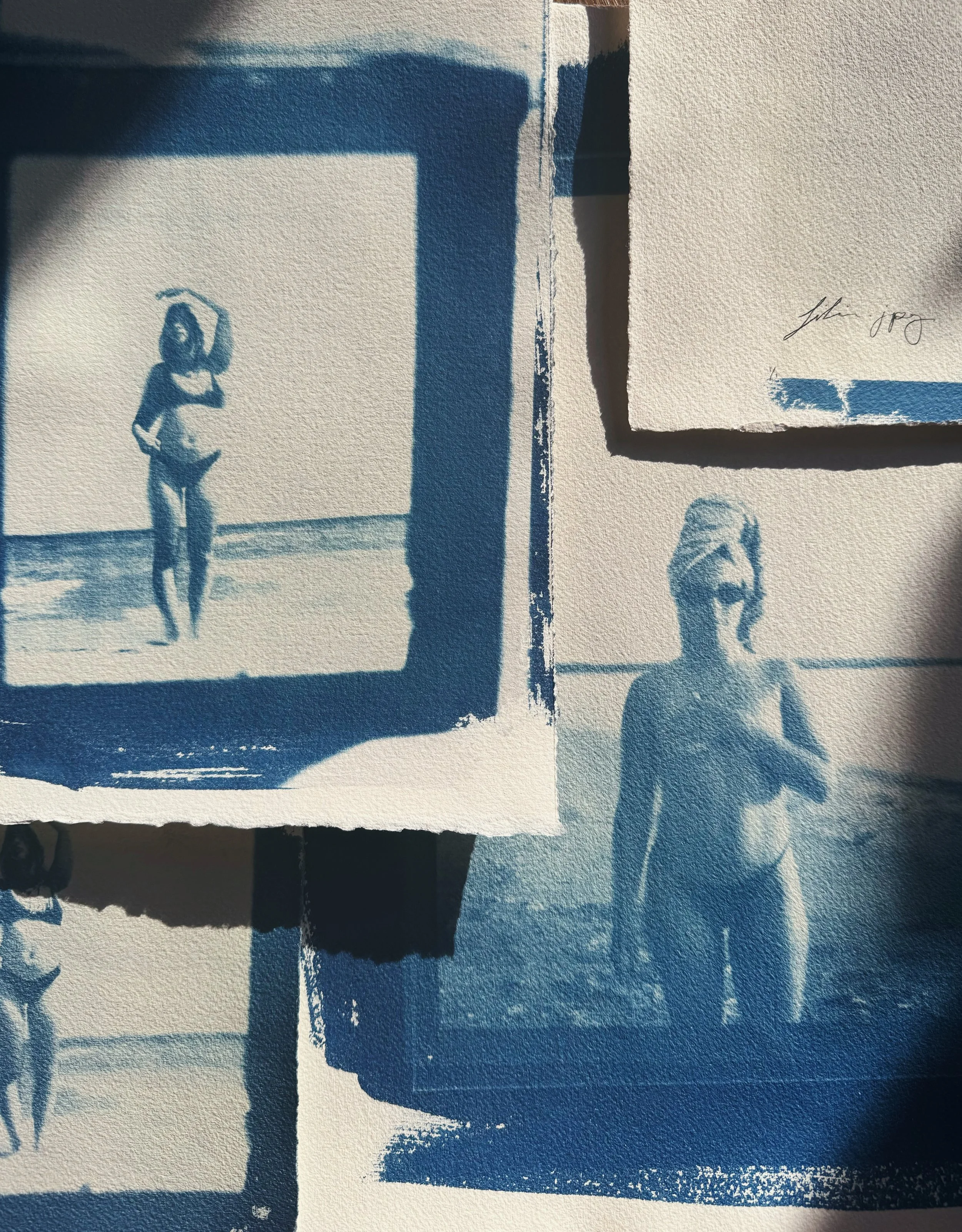 cyanotype portraits on paper, 2024
