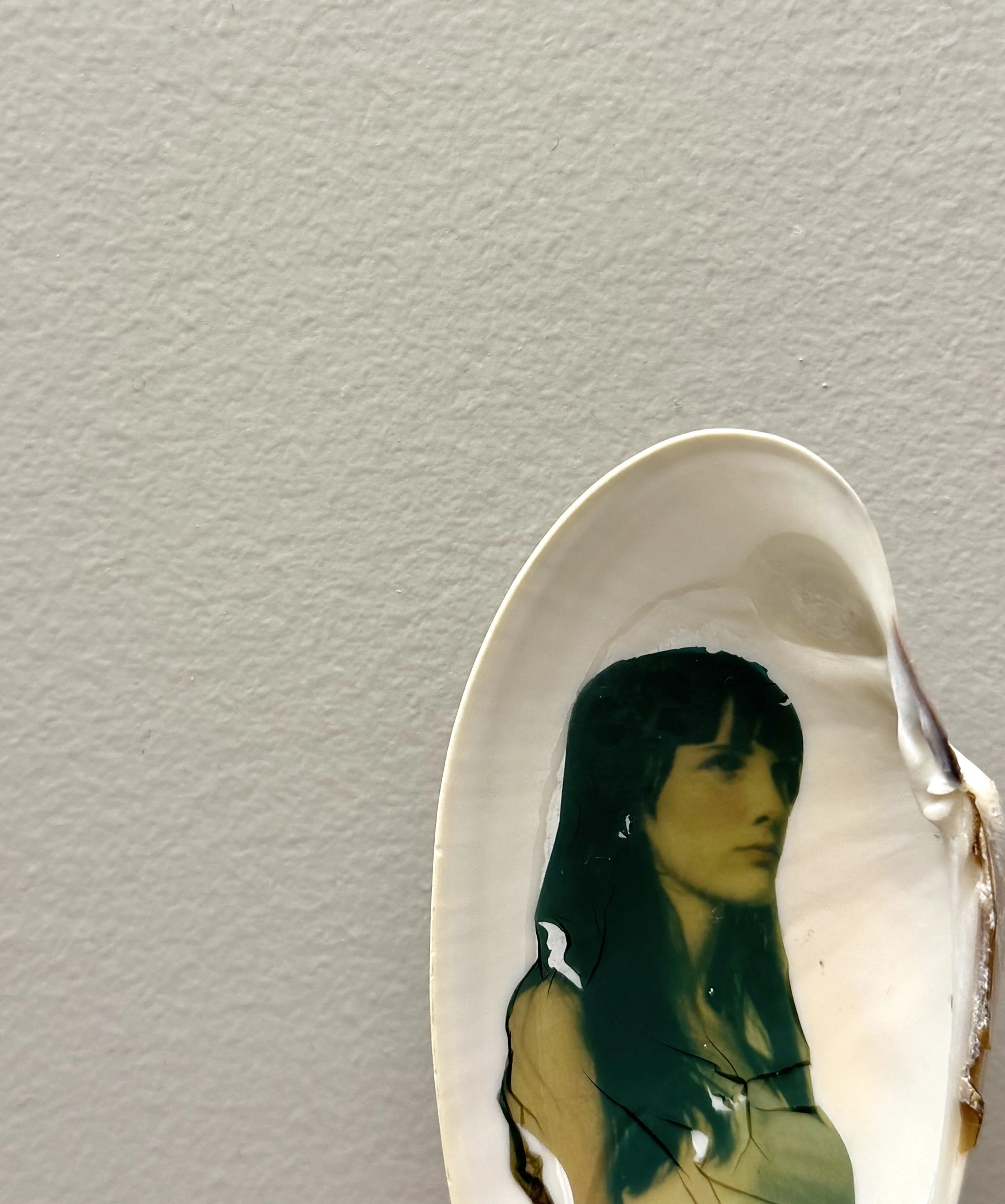 sea shell emulsions, 2025