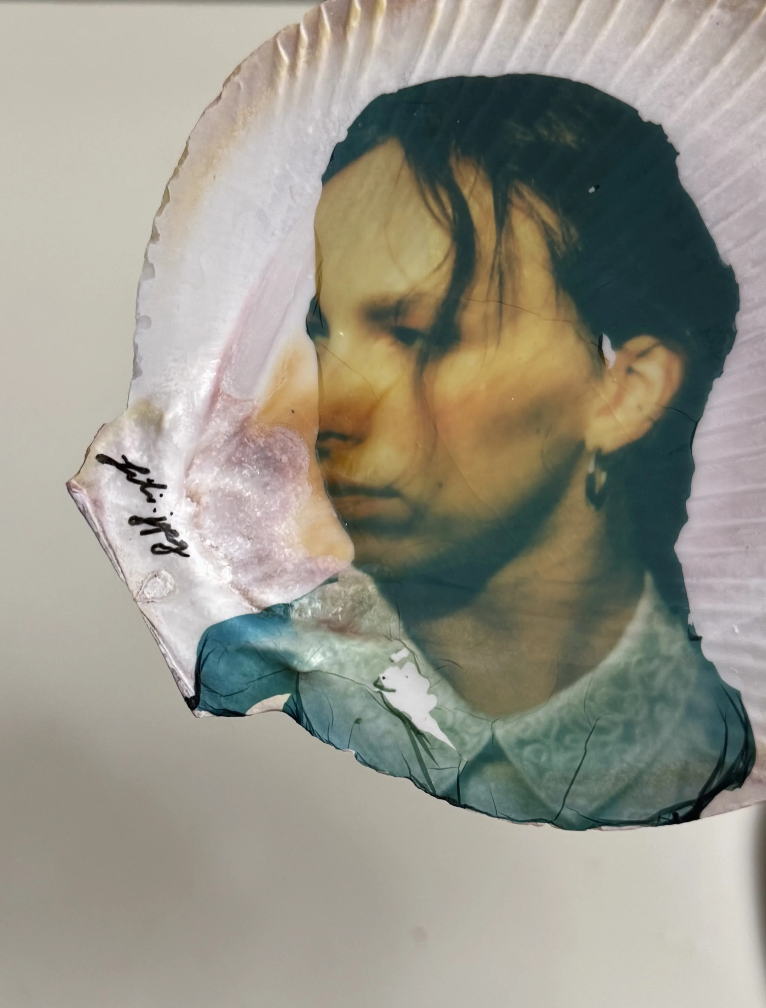 sea shell emulsions, 2025