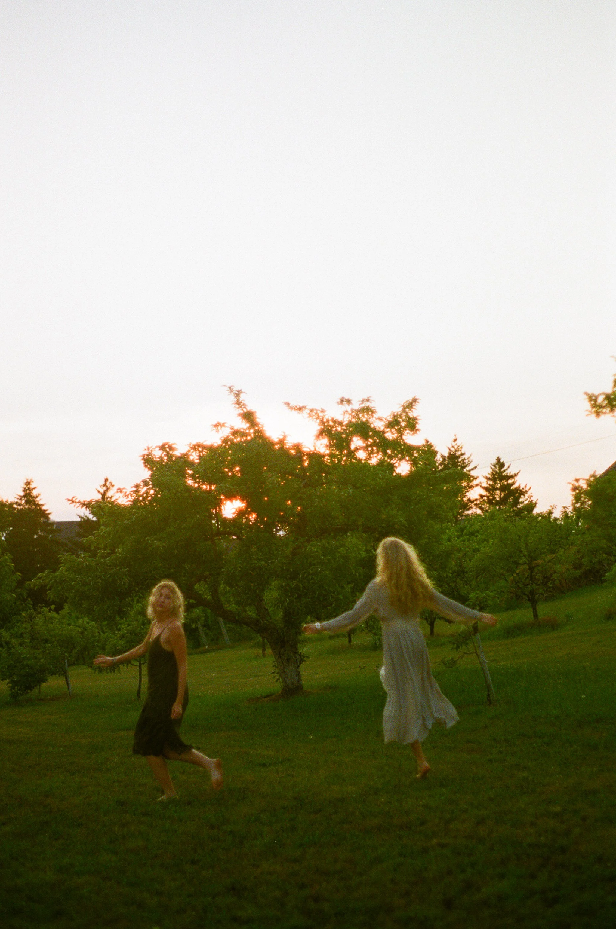 portra 800 film (2024)