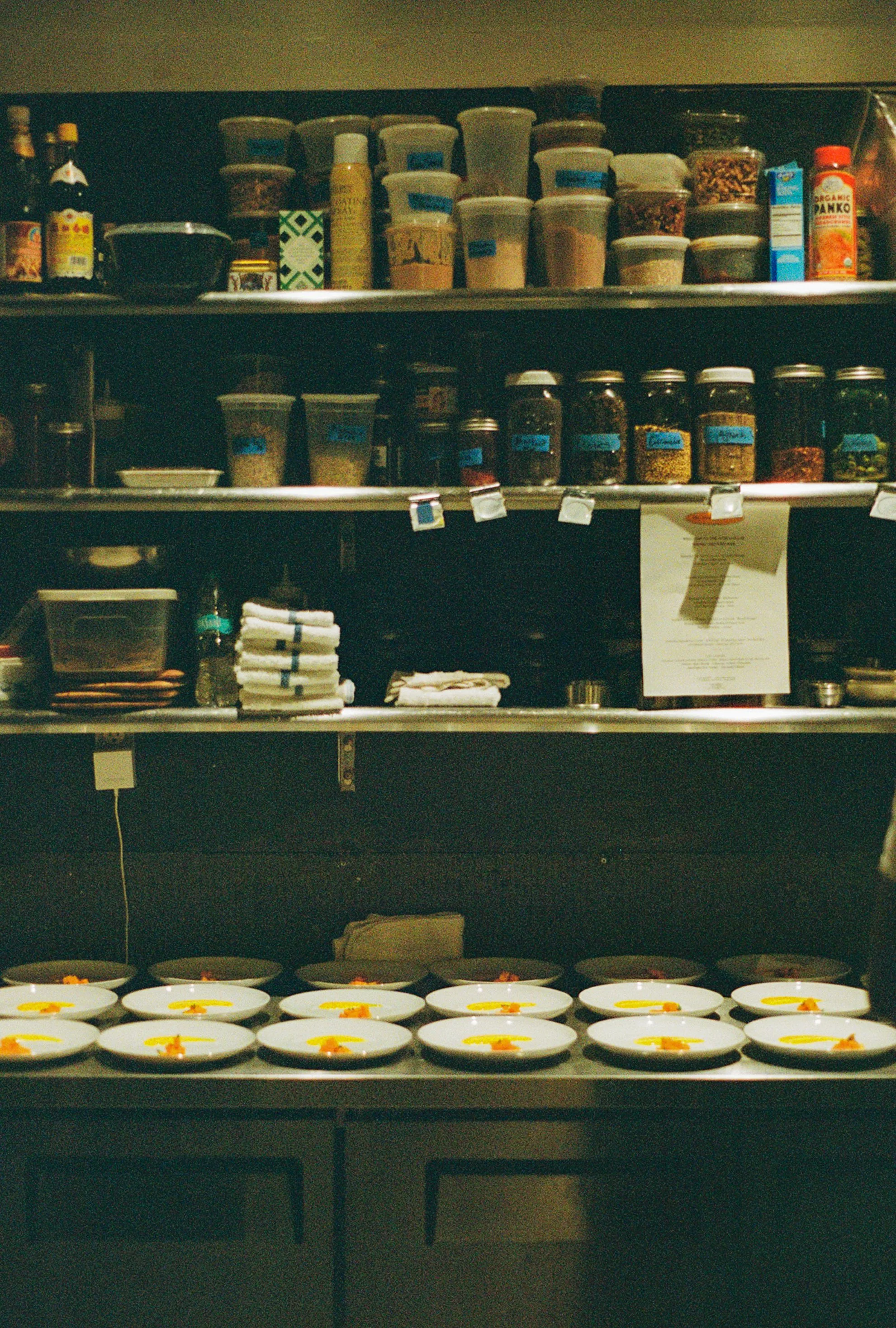 cook's house on portra 800 (2024)