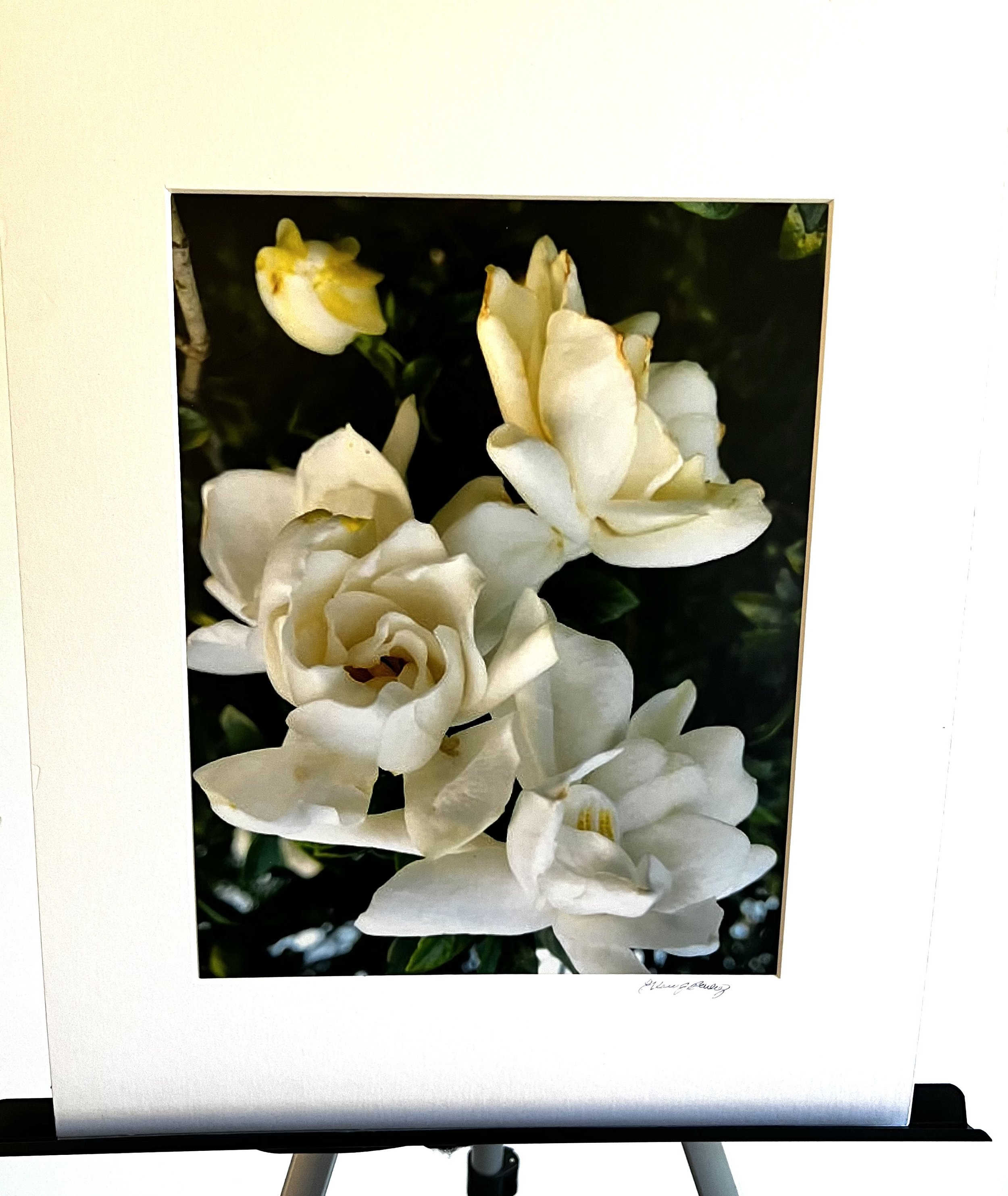 Glorify Arts - Show Piece 12.jpeg