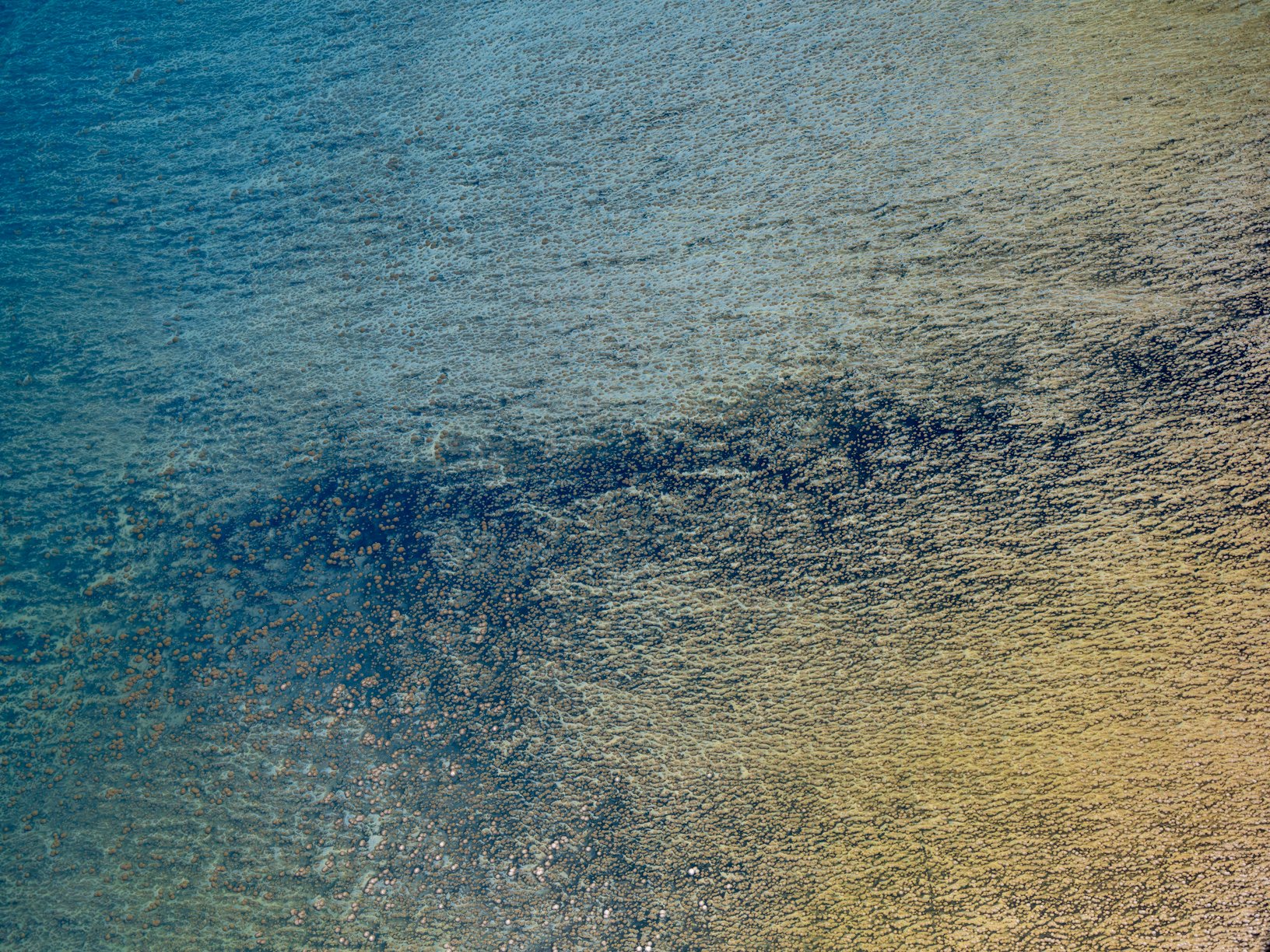 "Aquatic Abstracts IV": photographed from an R22 helicopter above Great Salt Lake. Available on fine art paper with a max size of 150cm across the long edge of the limited edition print.