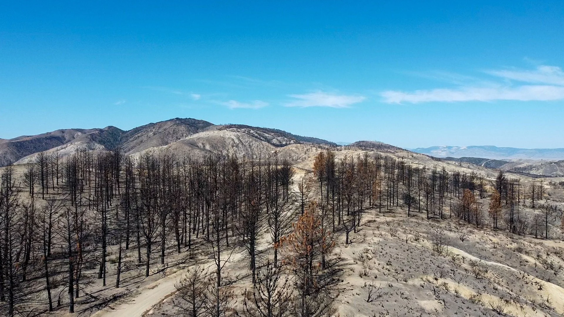 A mountain landscape with burnt trees on a dry, ashen hillside under a clear blue sky.