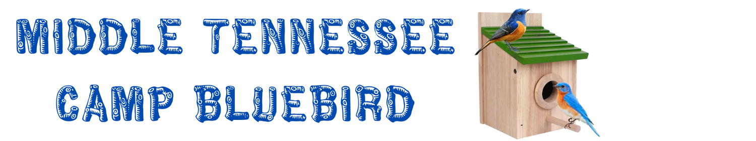 Middle Tennessee Camp Bluebird