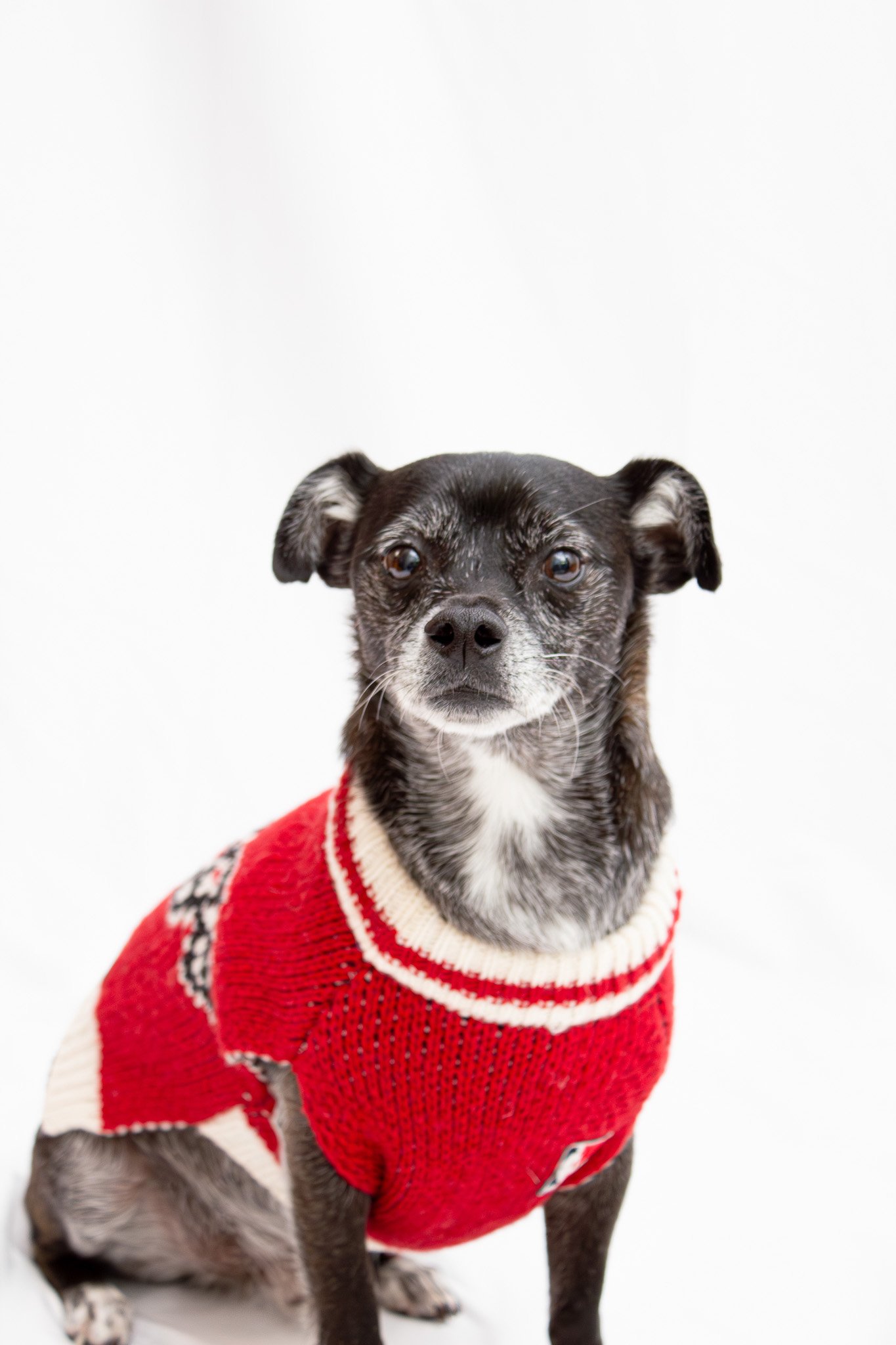 Prancer & Gabi x Melinda Lee Photography-42.jpg