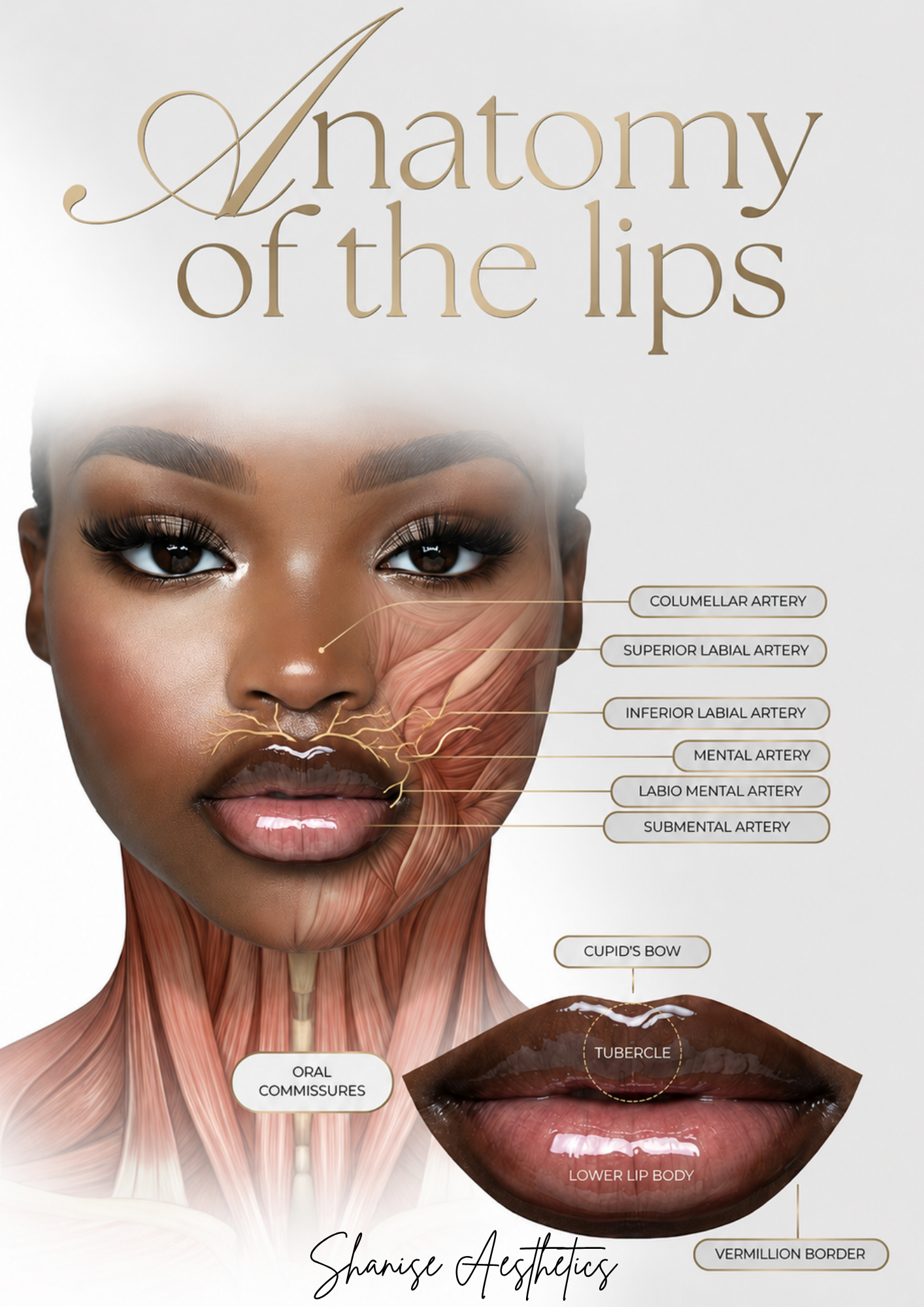 Lip Art Chart