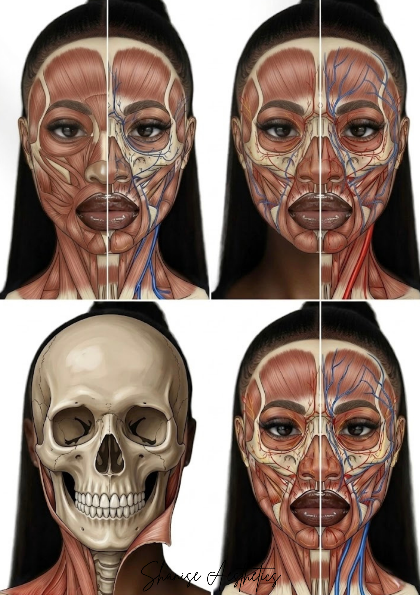 Untitled design - 47.PNG