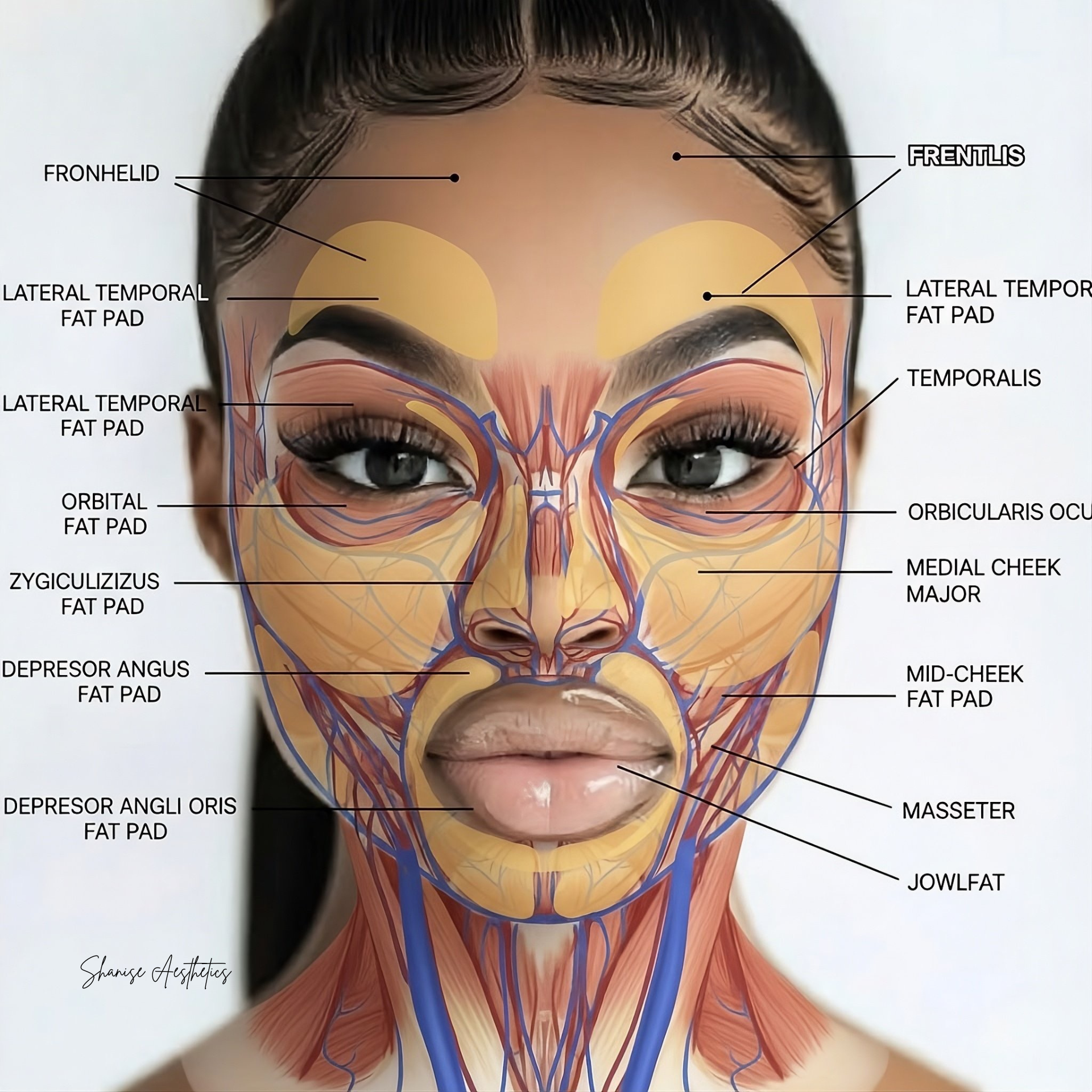 White Christmas - 10.PNG